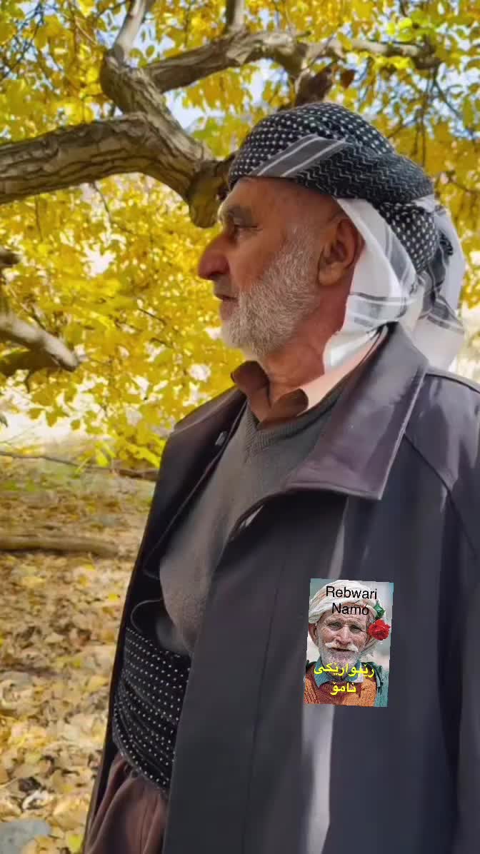 @rebwari namo رێبوارێکی نامۆ