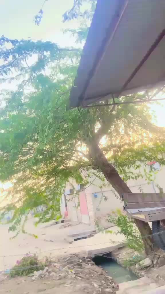 @منور سمبلی ہڈالی