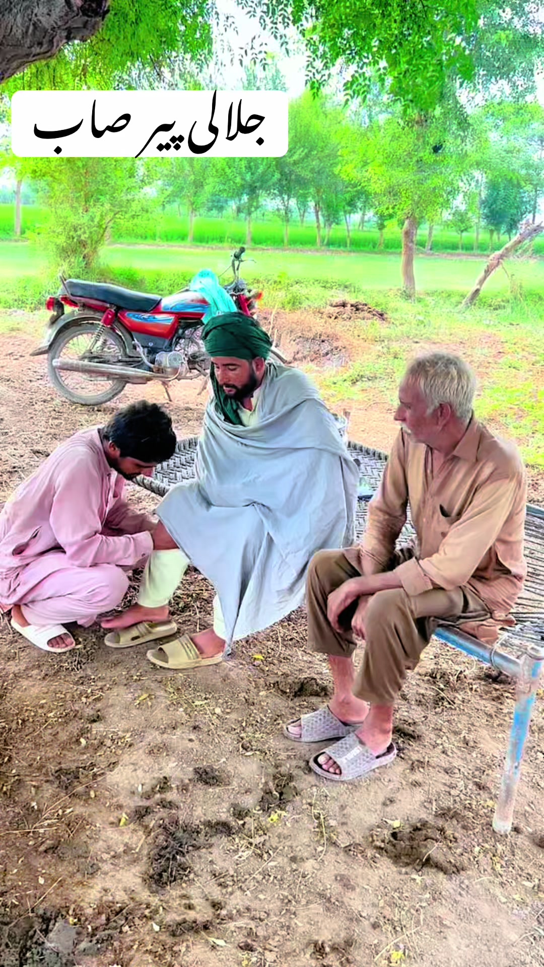 @پینڈو بوائز 378