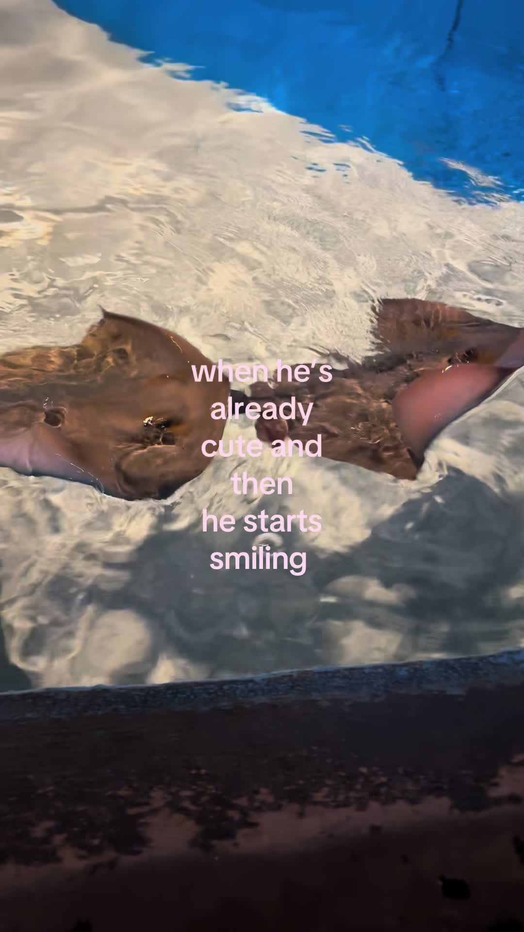 @𝐀𝐍𝐍𝐀𝐁𝐄𝐋𝐋𝐄 ⊹ ࣪ ˖