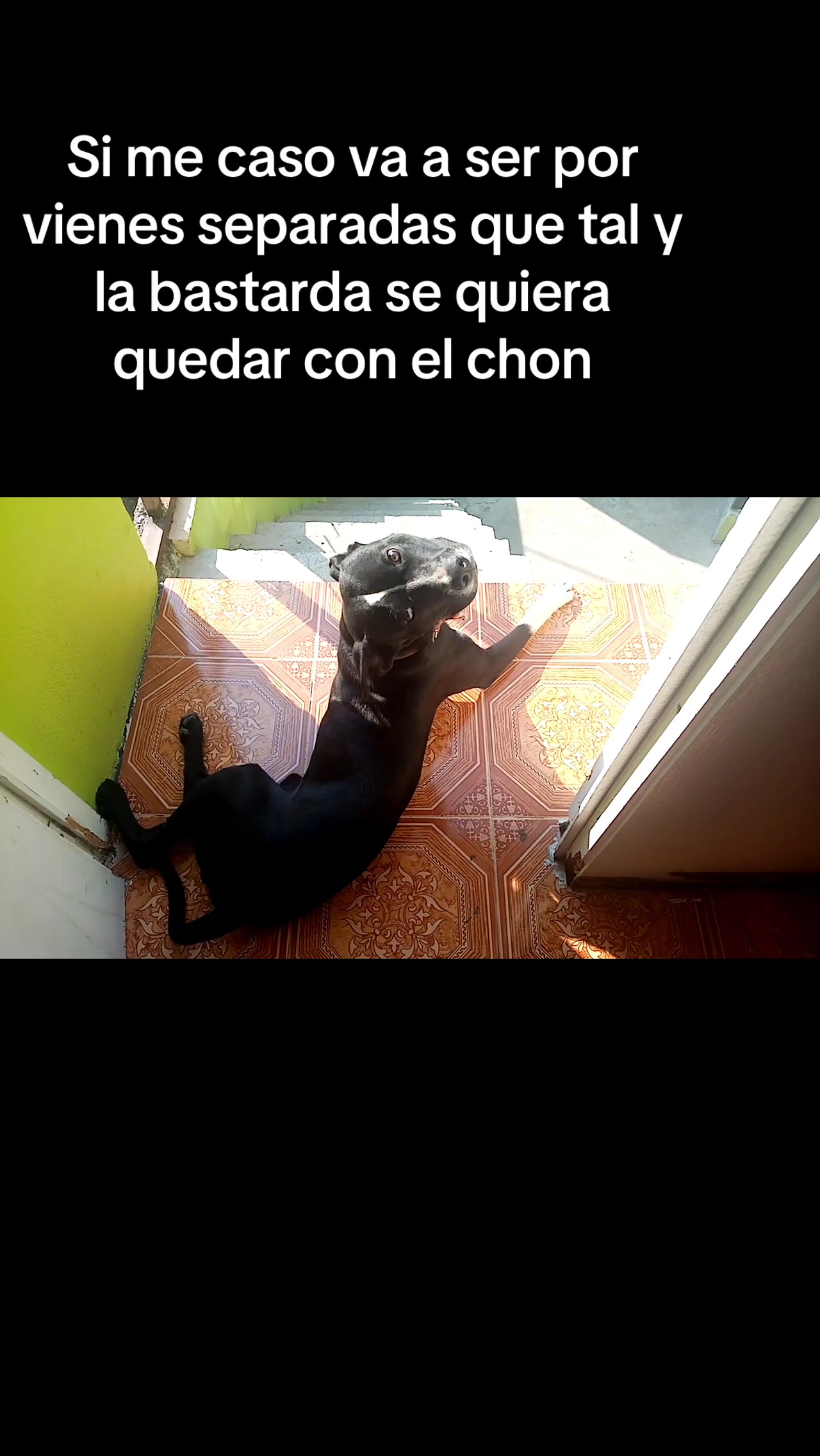 @Chris Ricx