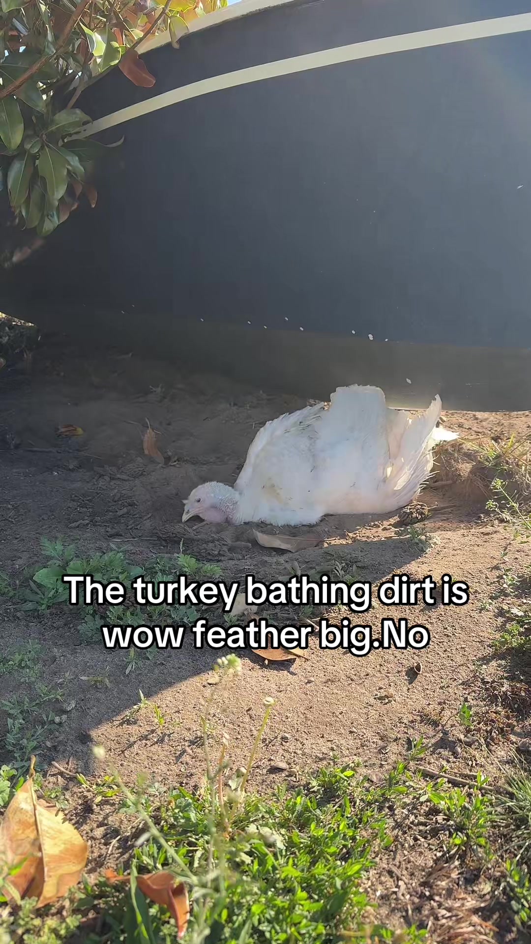 @No