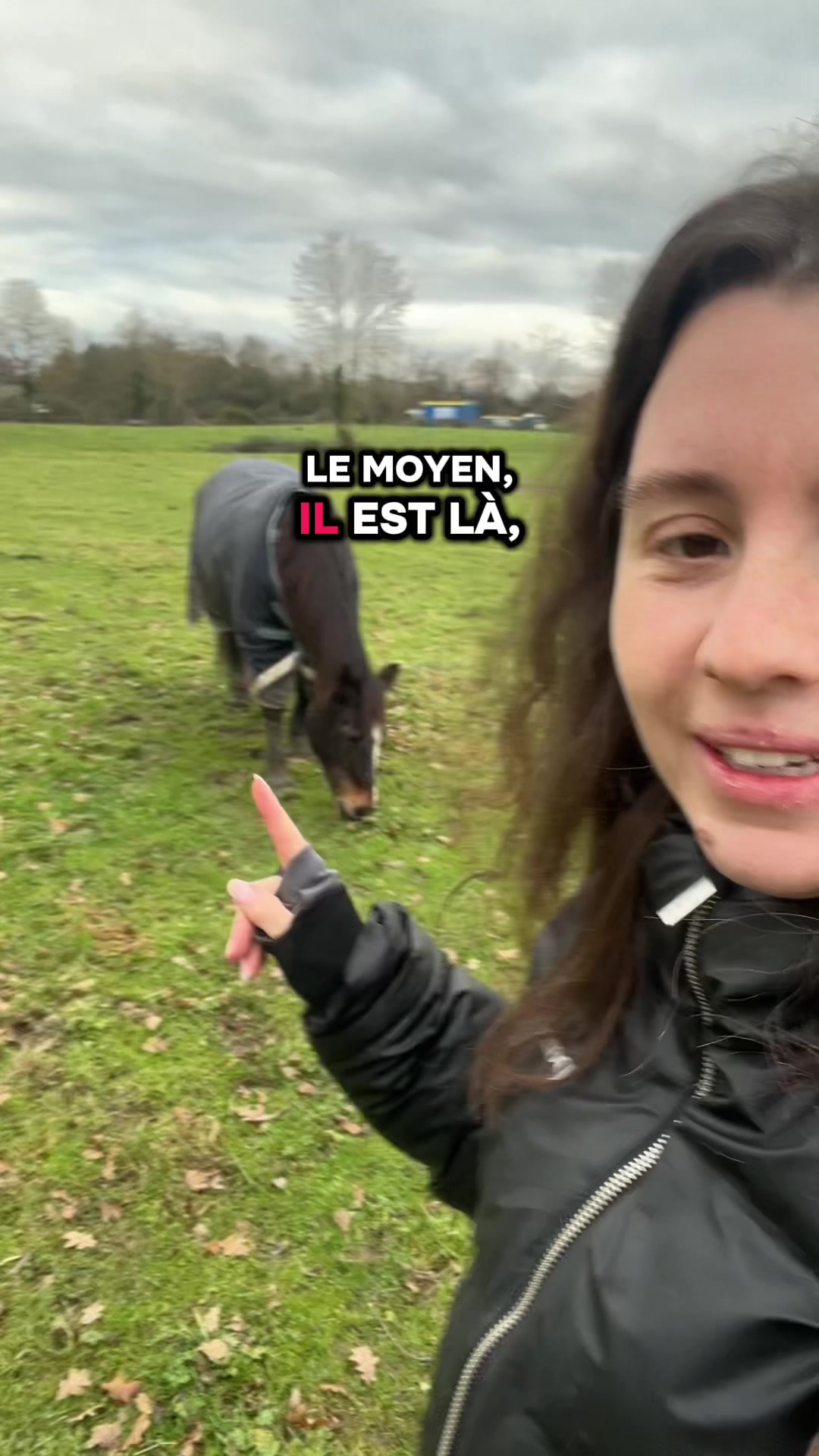 @Seren the pony 🐴