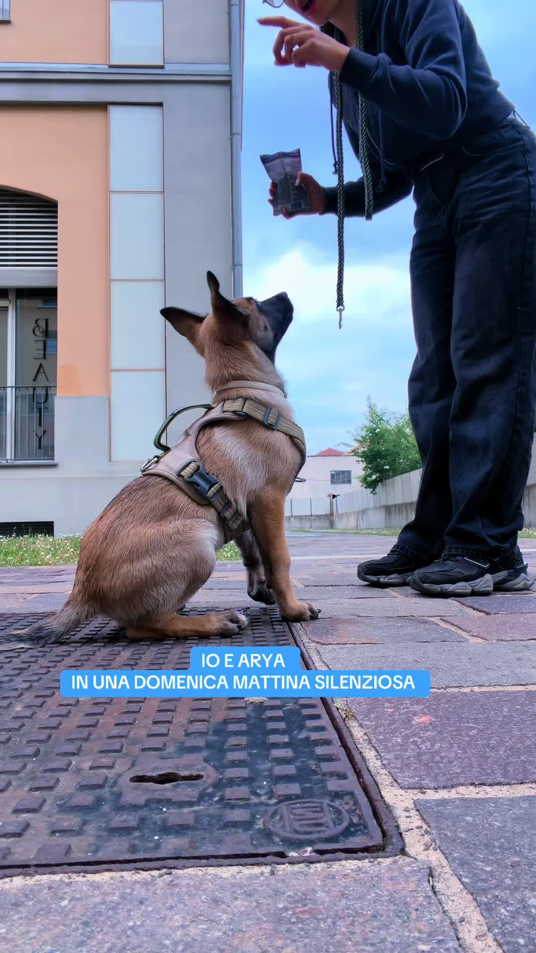 @Elena Sarcinella