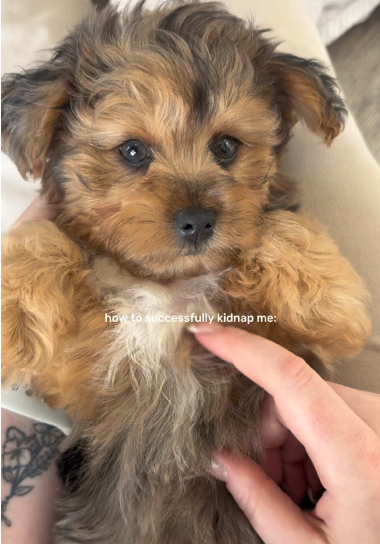 @Petland Bradenton