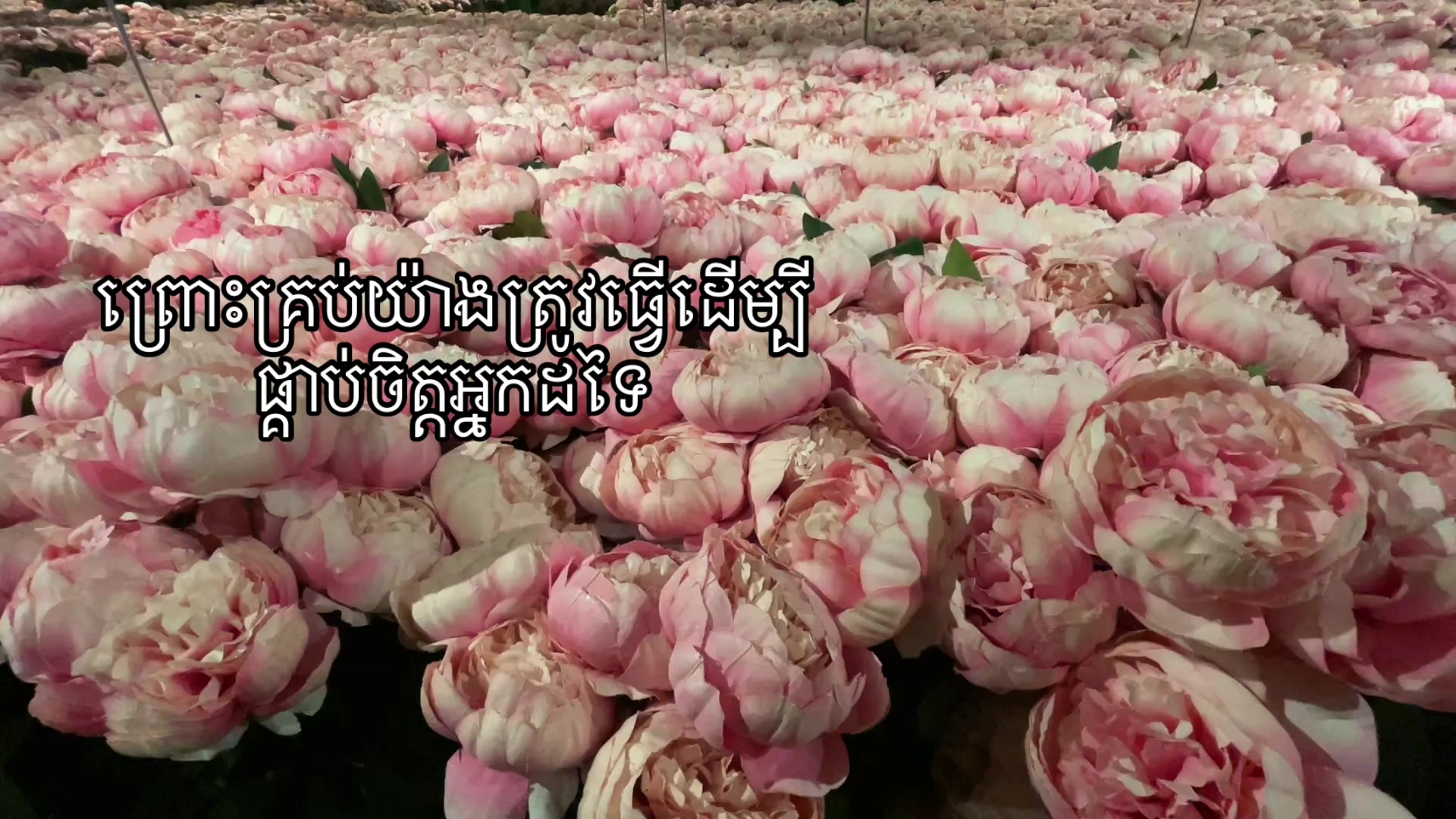@NINARU