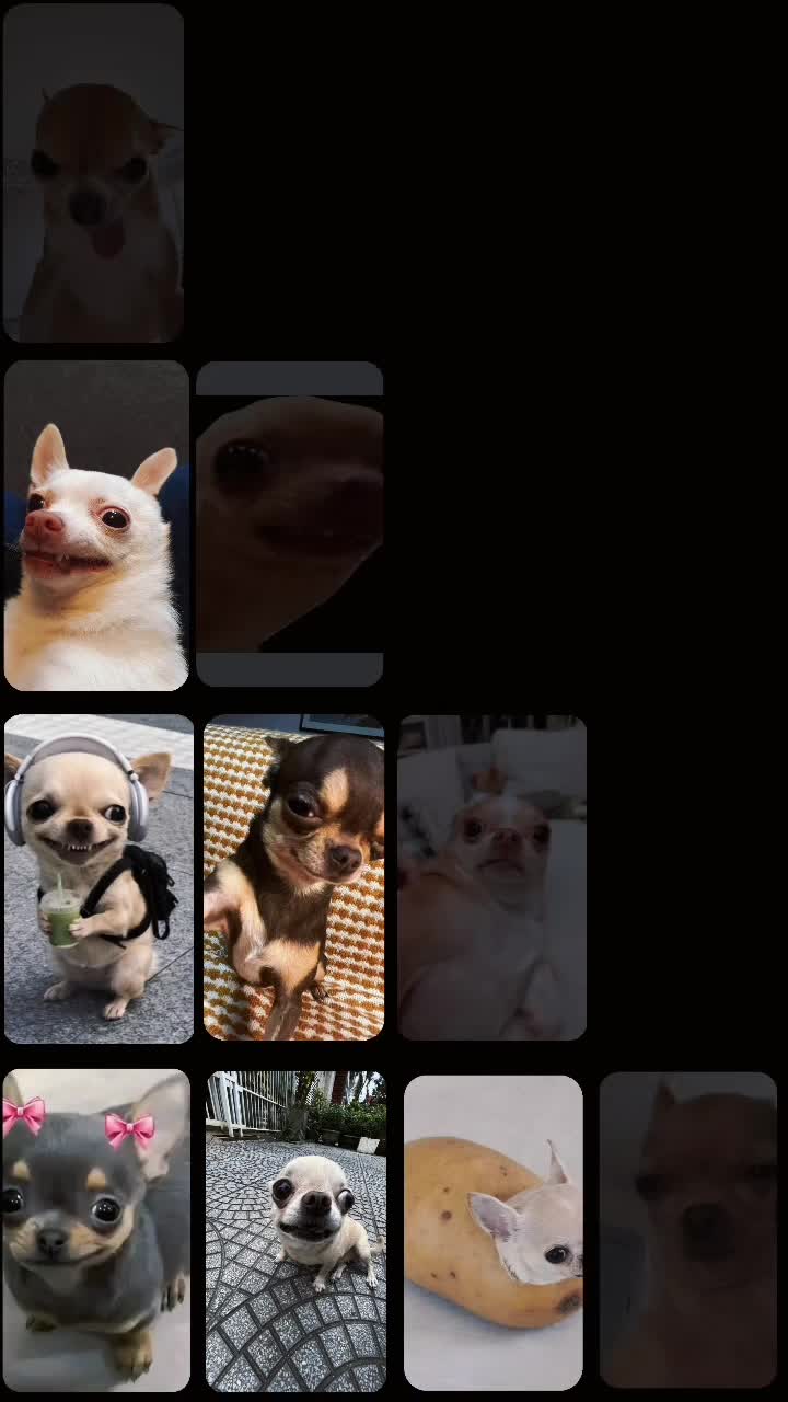 @a handsome chihuahua lover