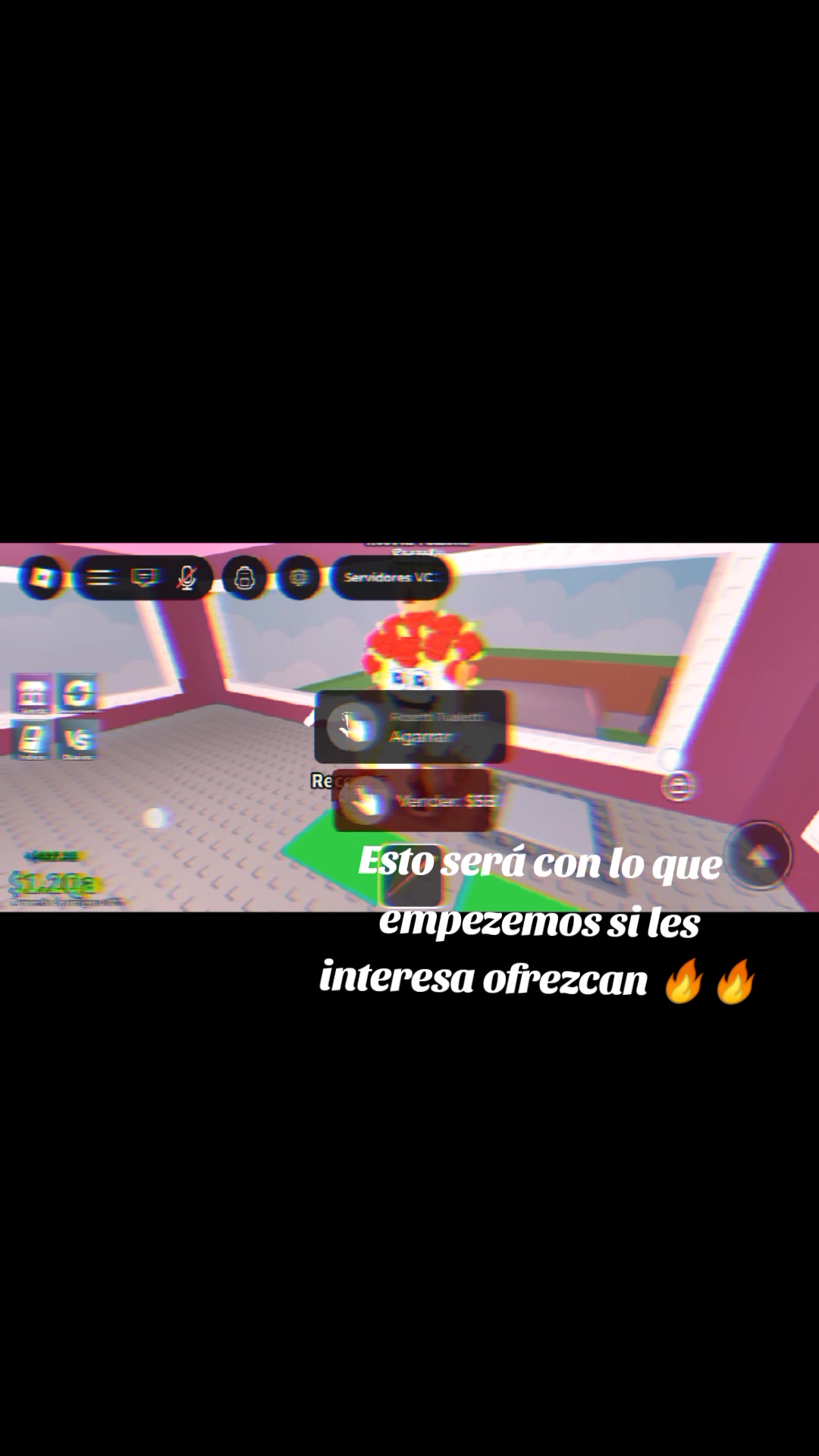@perritostrades🤑