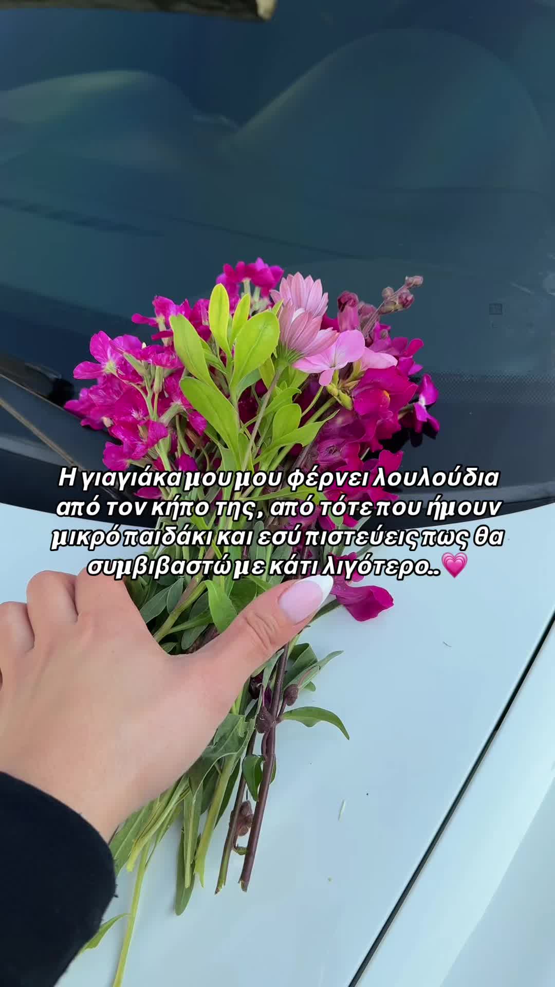 @Theodosia 🦋