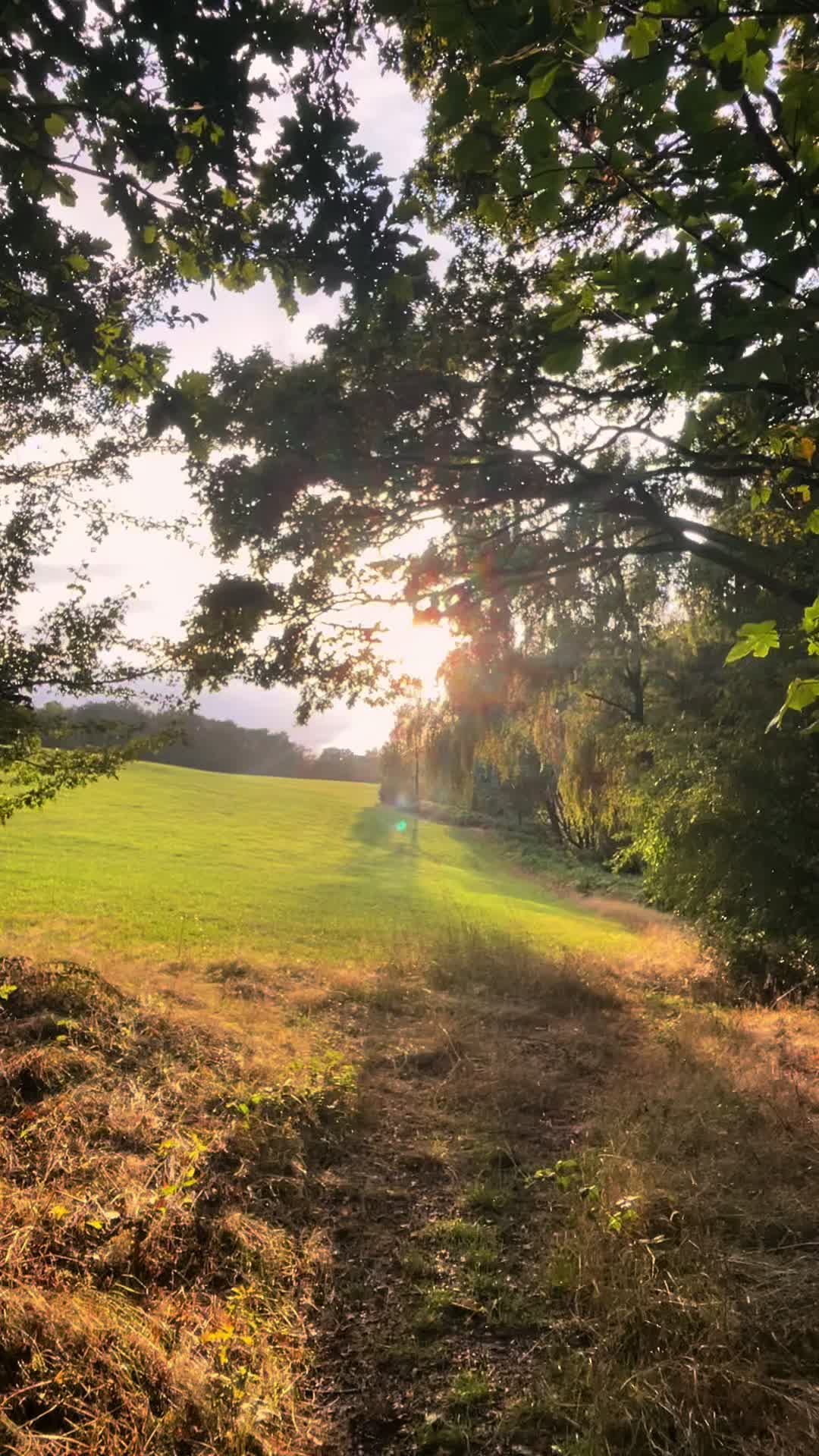 @ᛏᛁᛏᚢᛋ 🌞🌲🏔️ᛉ