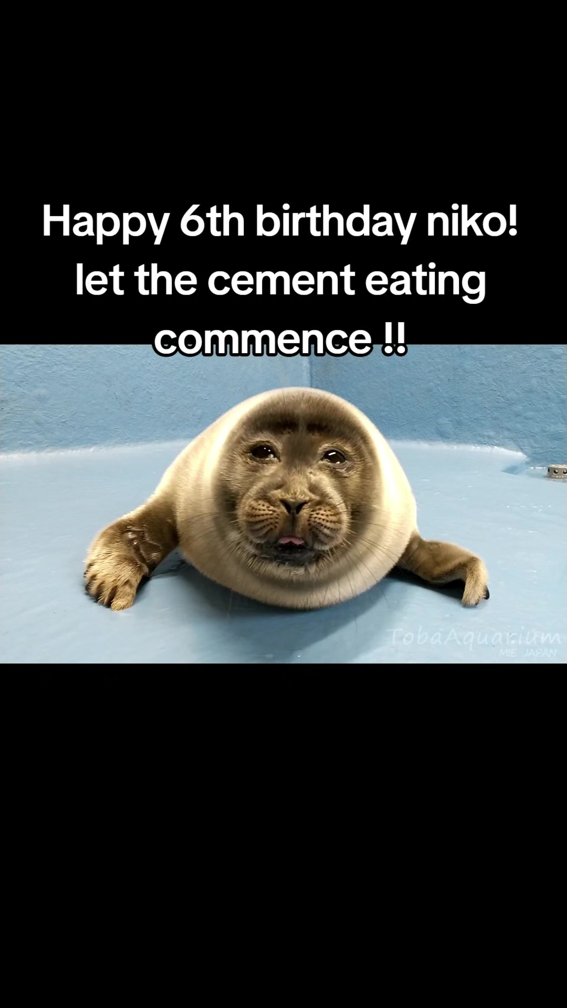 @Ray 🦭 :3