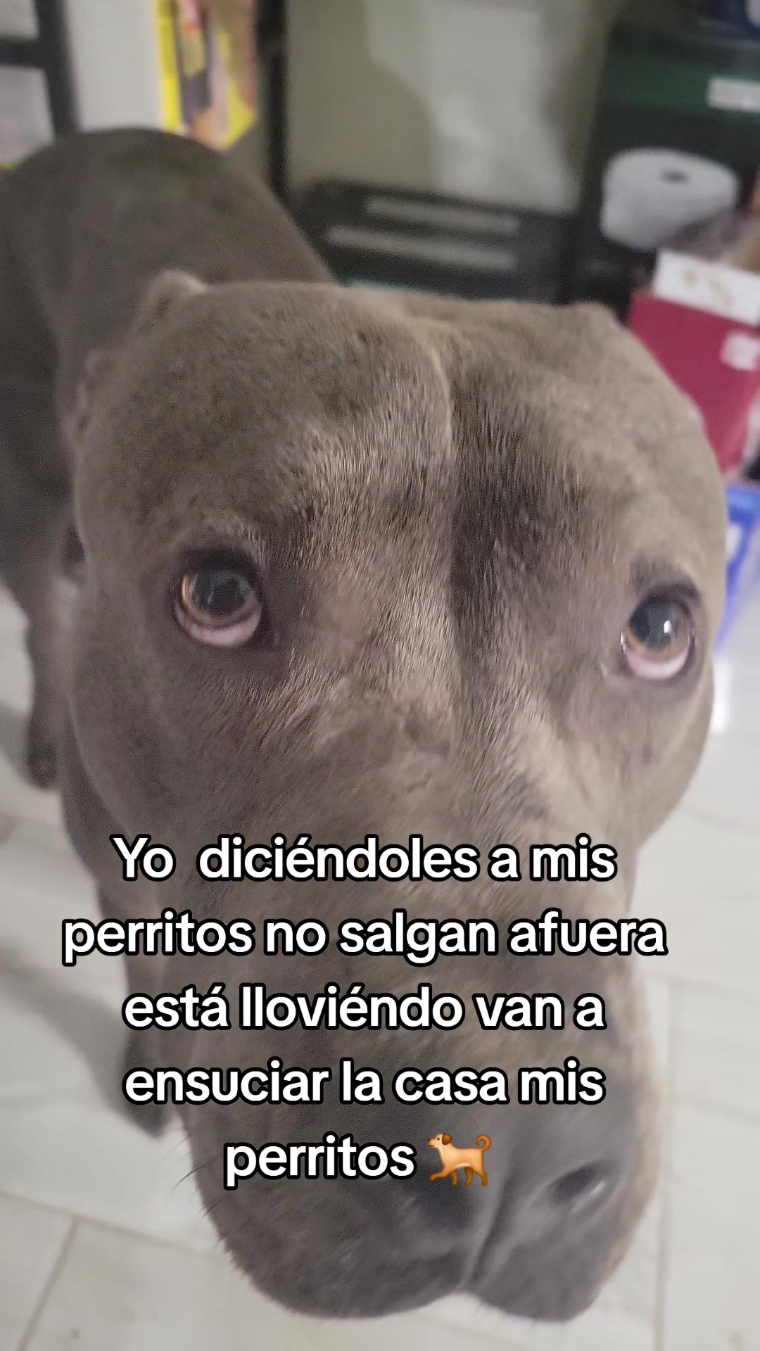 @heidylopezmenchu