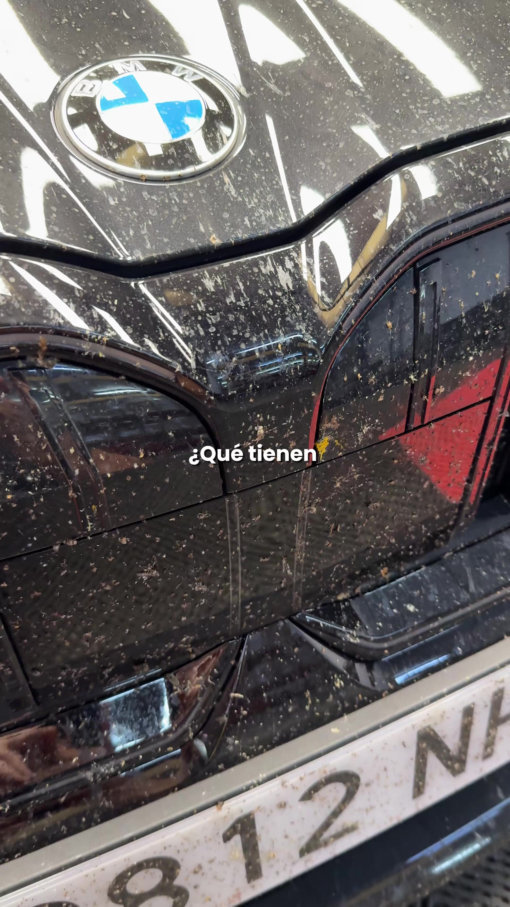@BassMotor