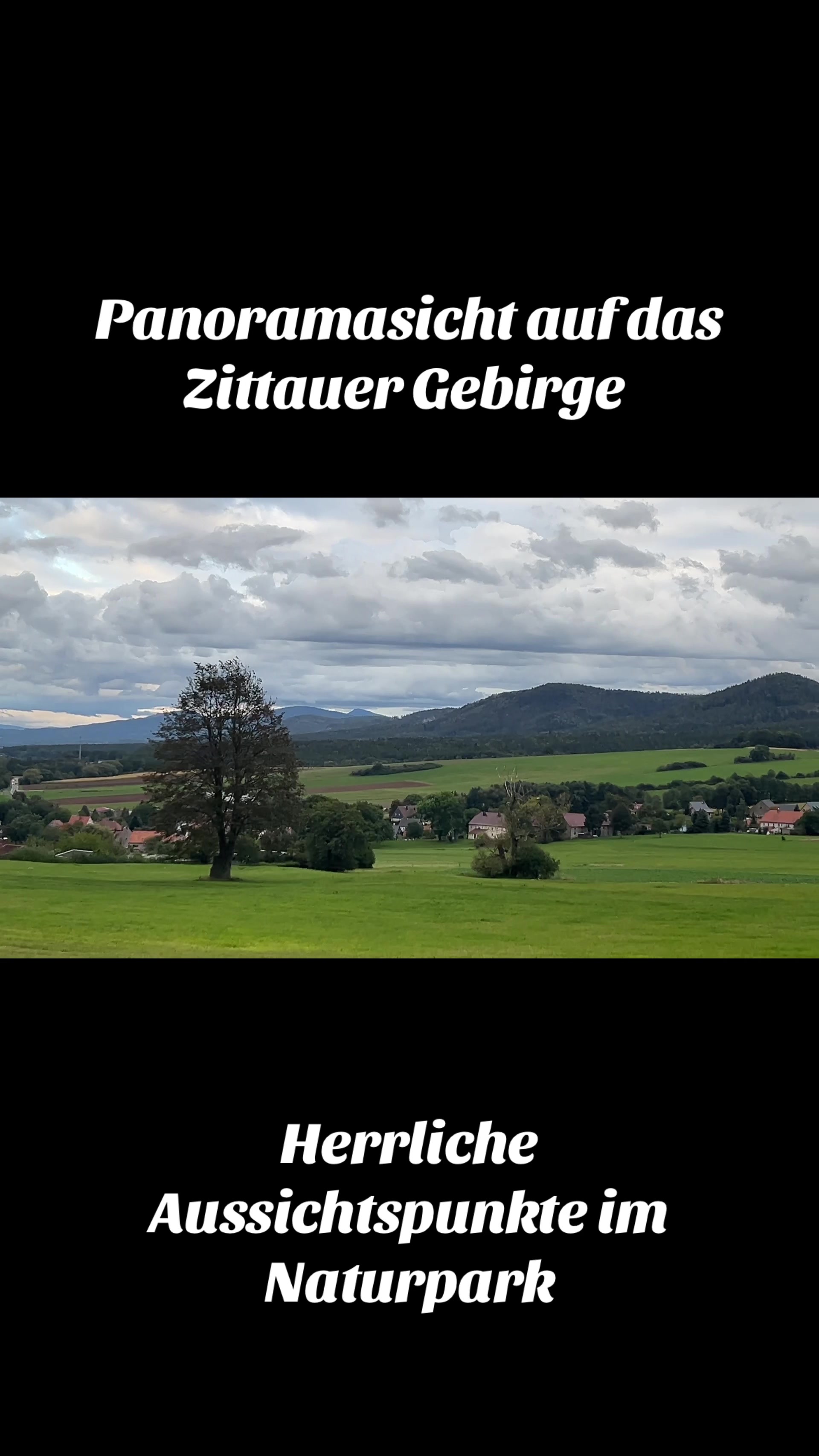 @mandau-fewo.de