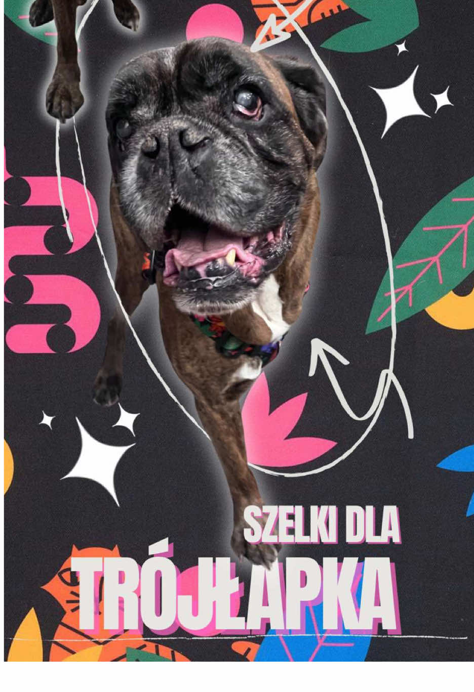 @Psyjaciele.com