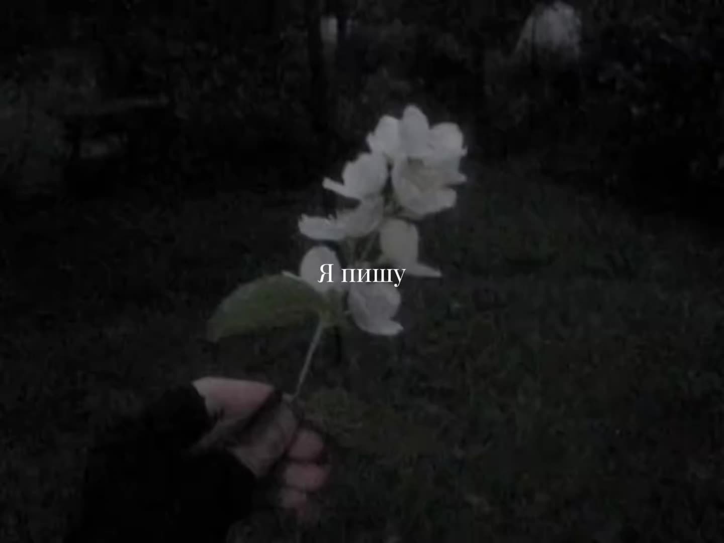 @🎧