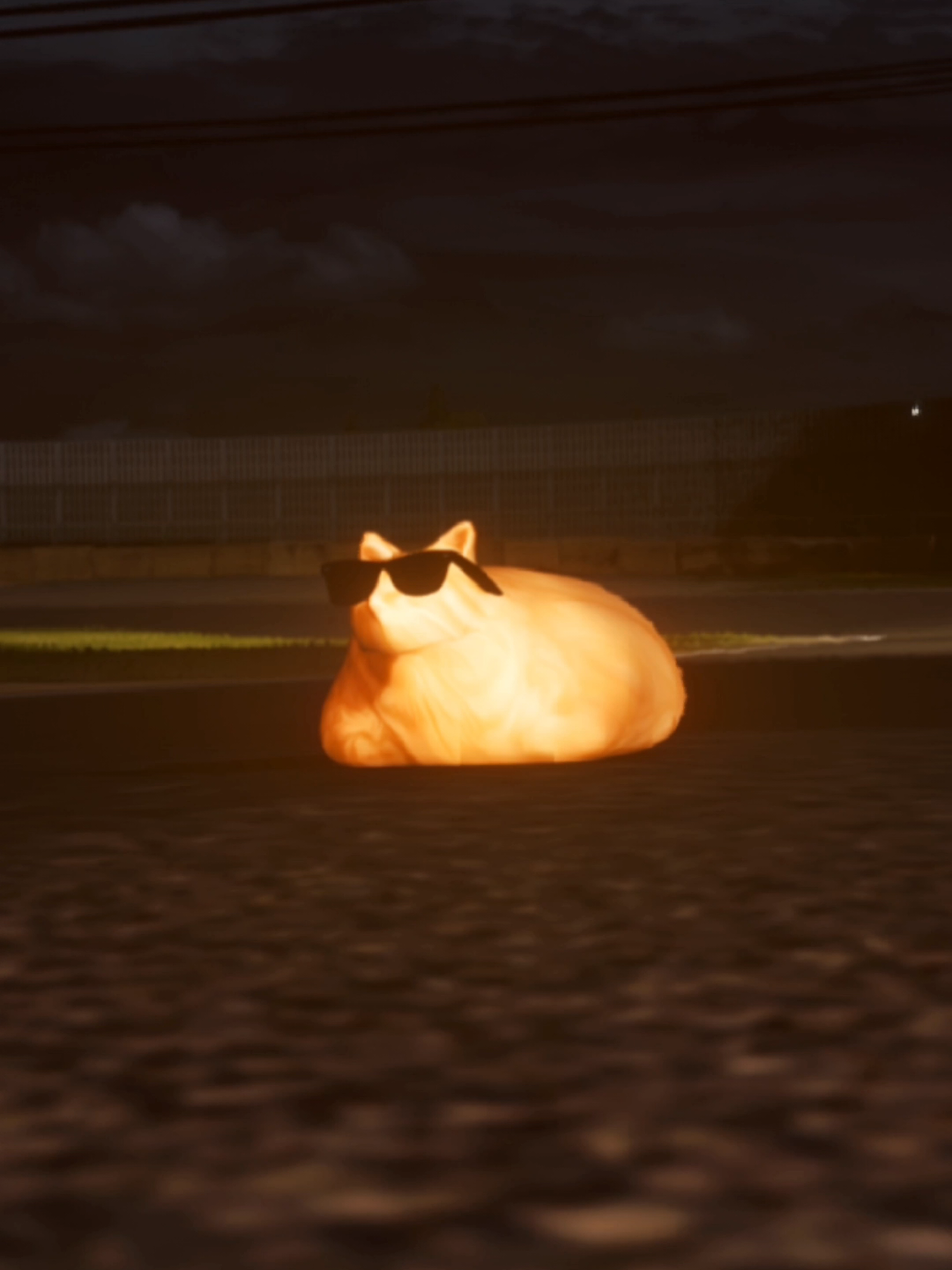 @Pablo the Race Cat