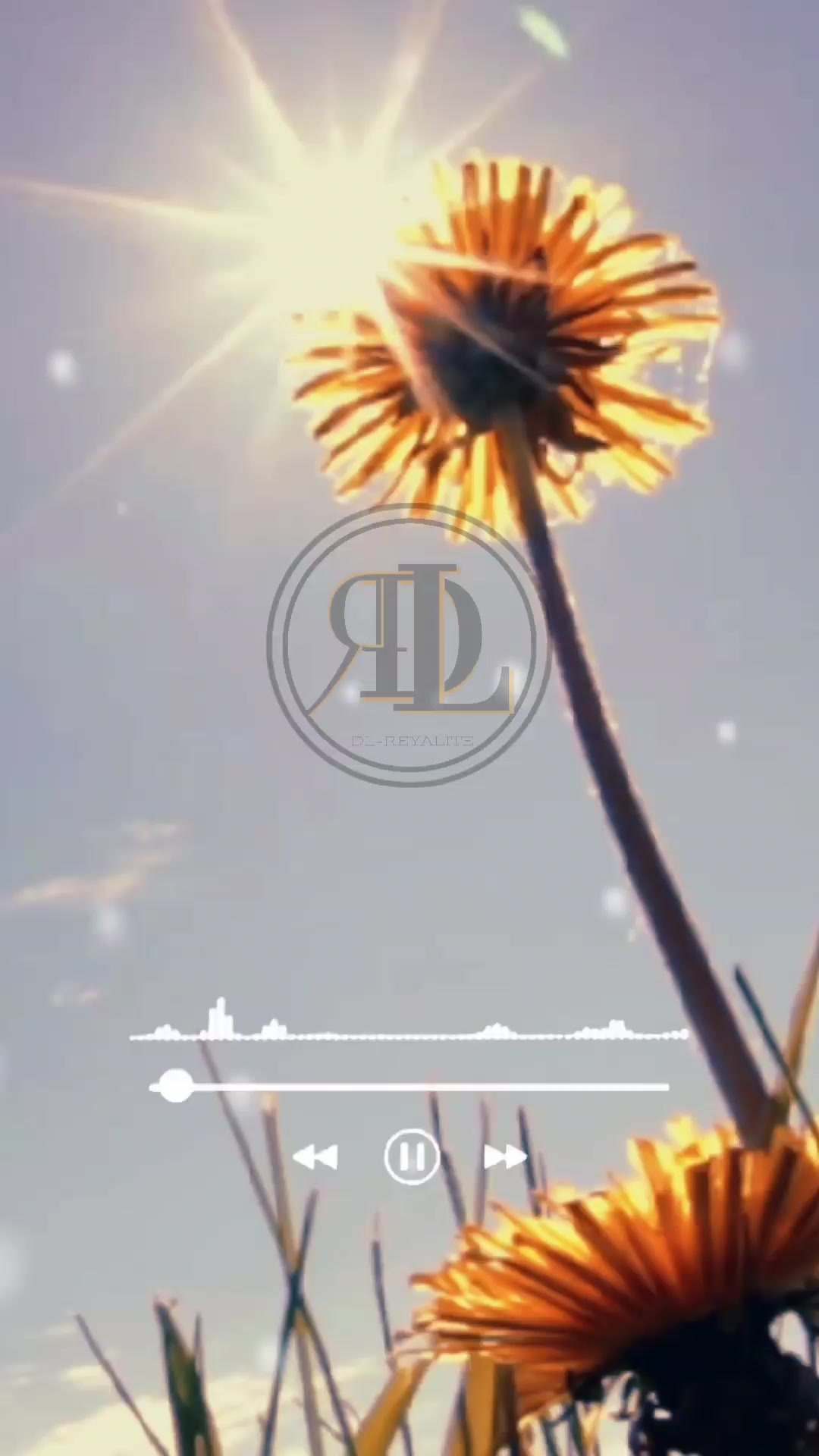@DL-509-HT