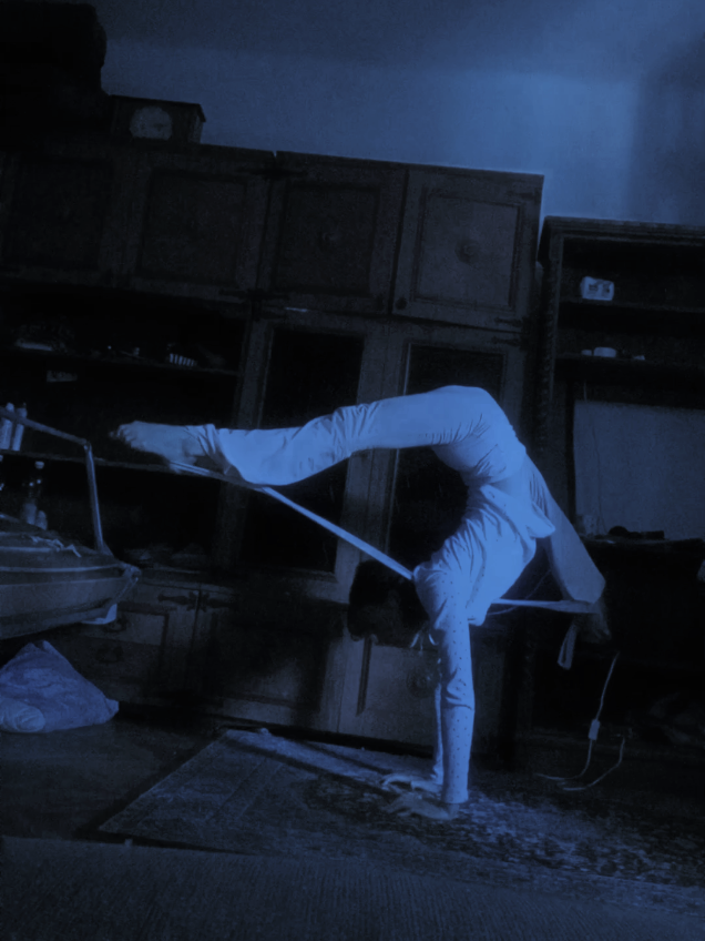 @circusobsessed