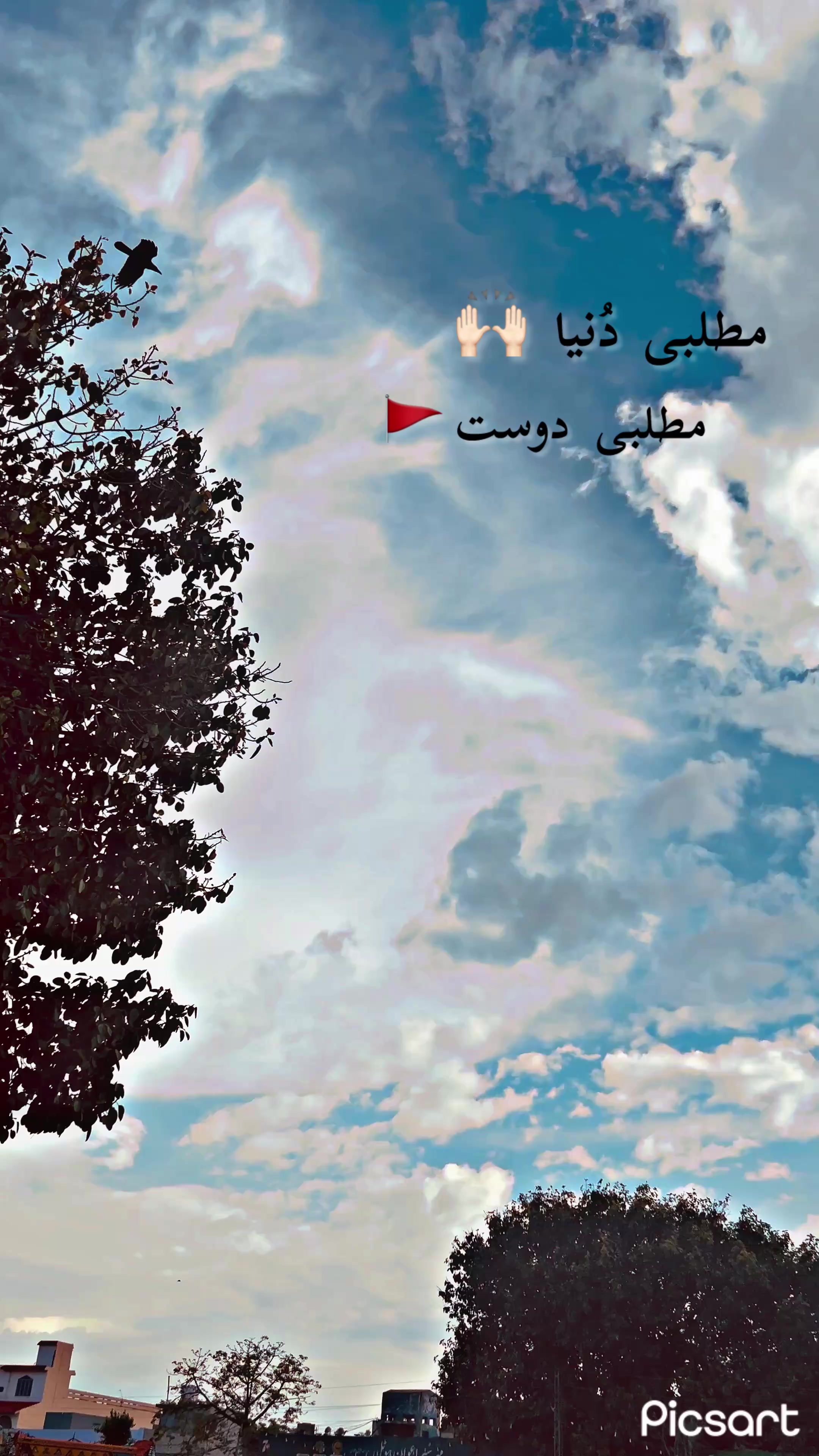 @چوہدری🪐