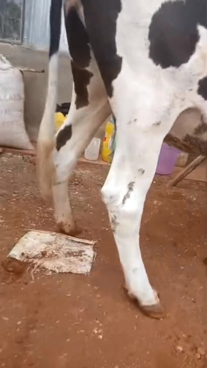 @Dennis Mukundi Wambui
