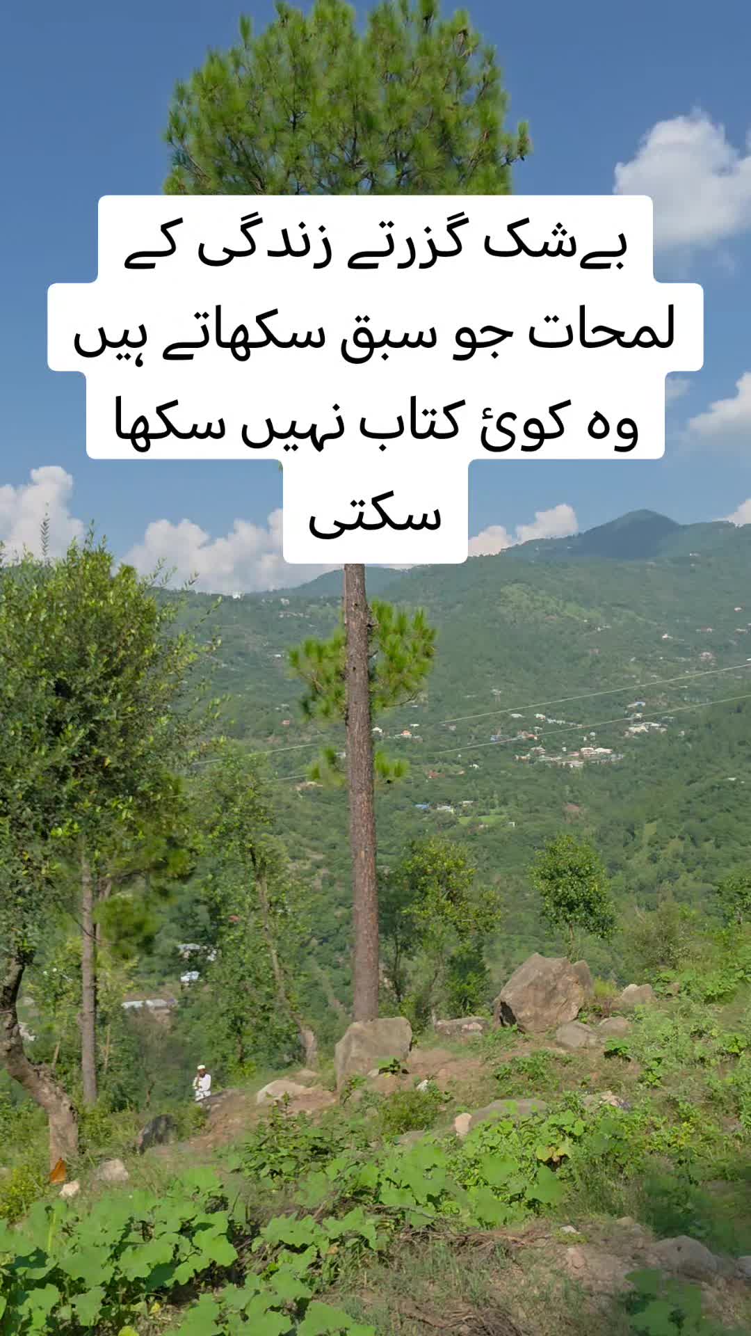 @Syed Rasheed shah