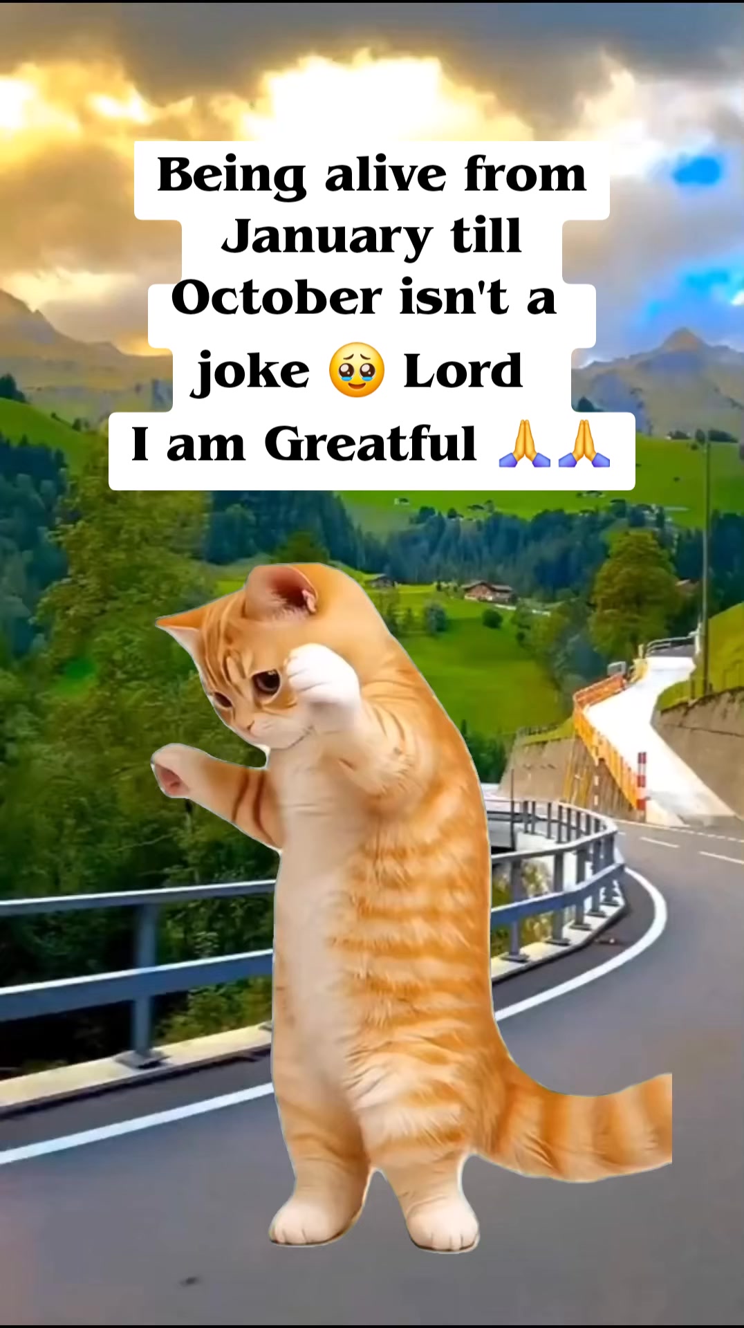 @𝕭𝖔𝖇𝖔