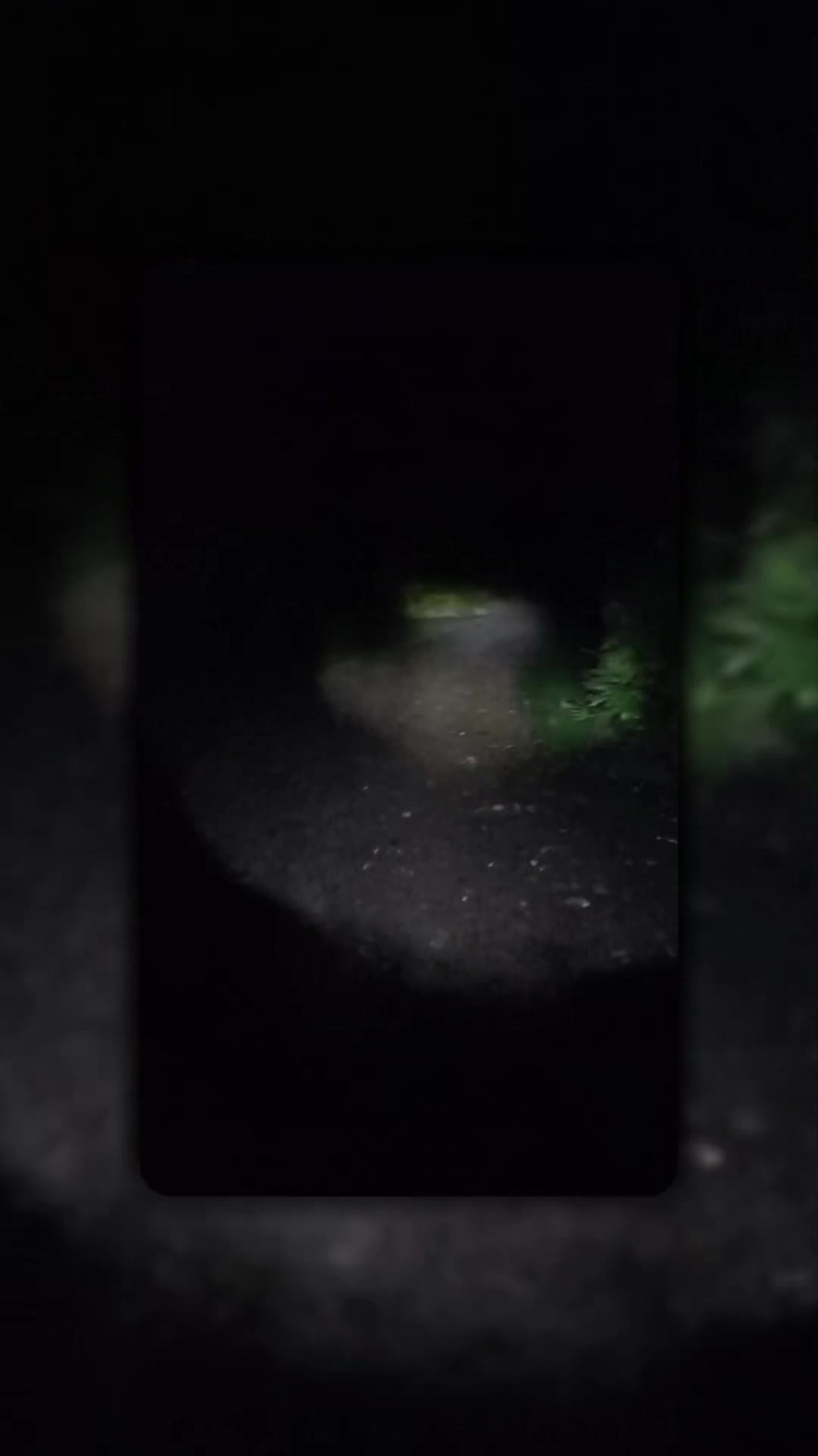 @🦚🆃𝓲𝓮𝓻🅿𝓪𝓻𝓴🆃𝓸𝓴🦚
