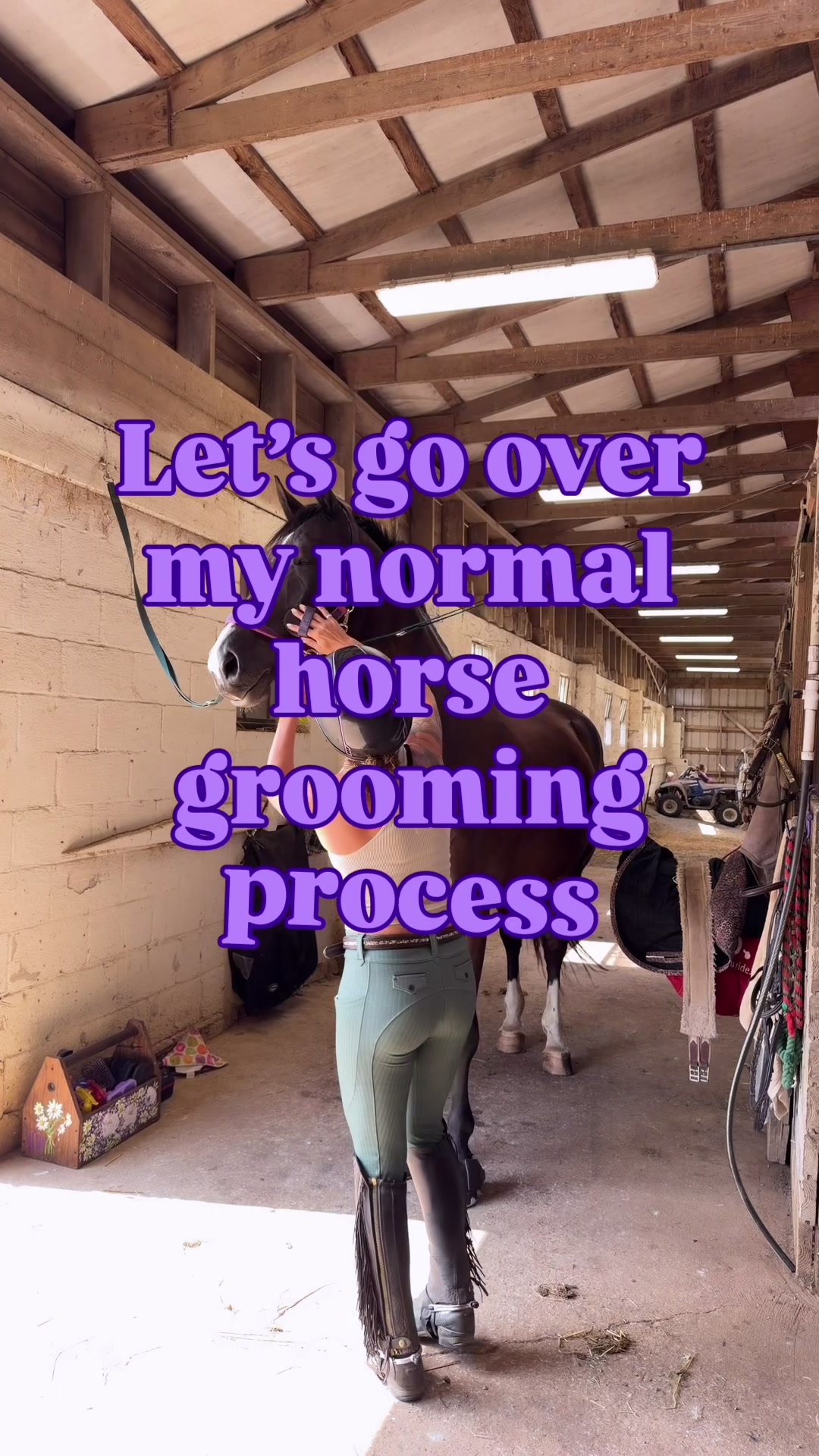 @Maria💜| Equestrian🦄