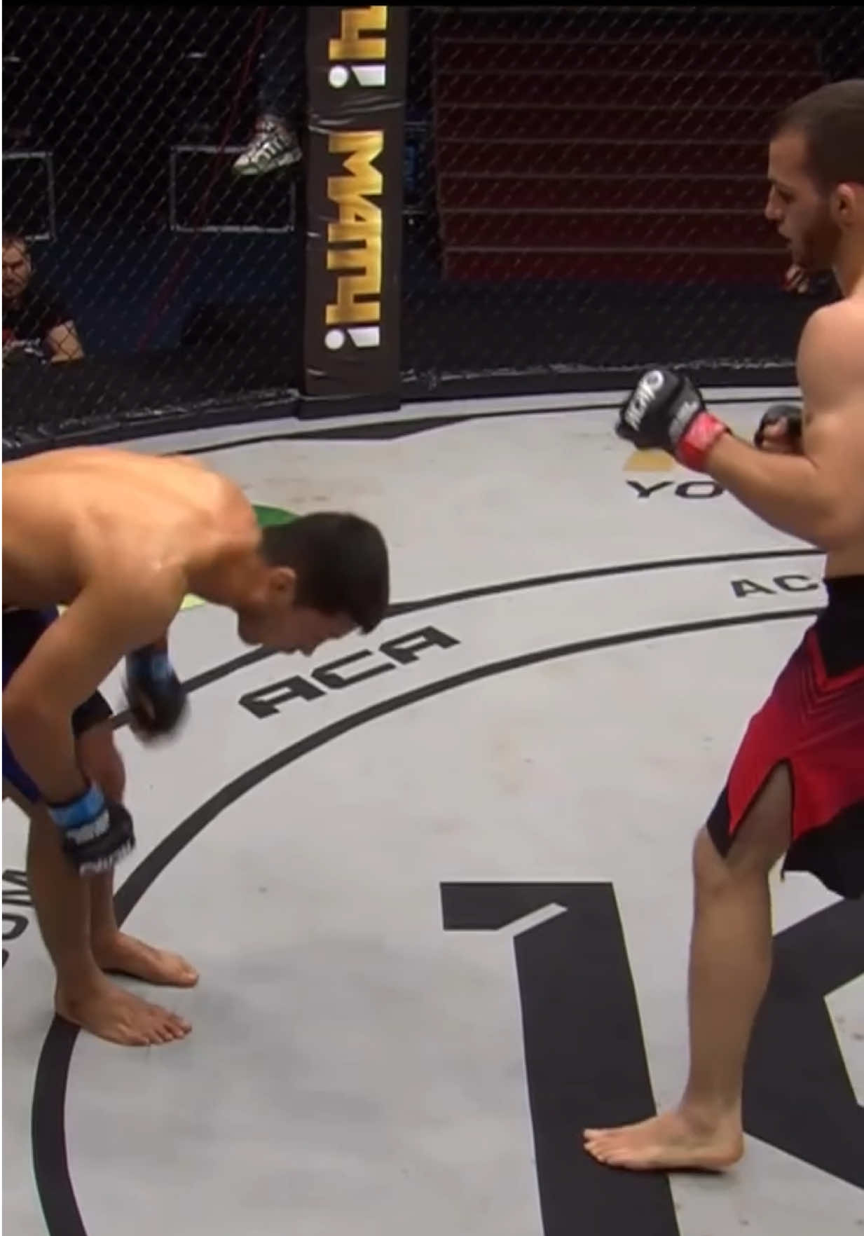 @FightingLab