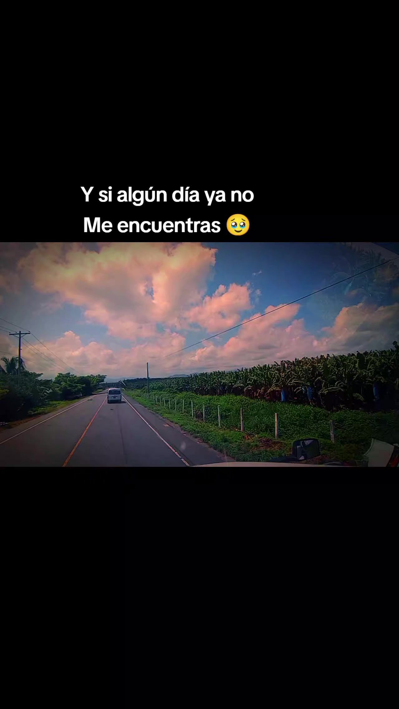 @wil urquia 🧸🍀