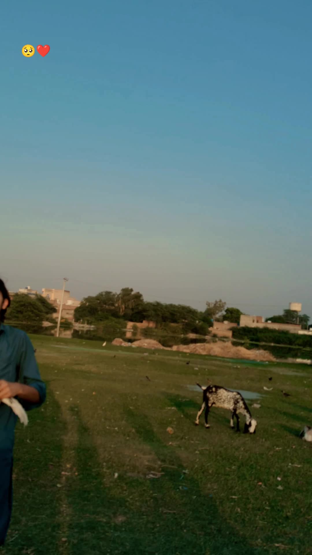 @⚡اویس بادشاہ 👑