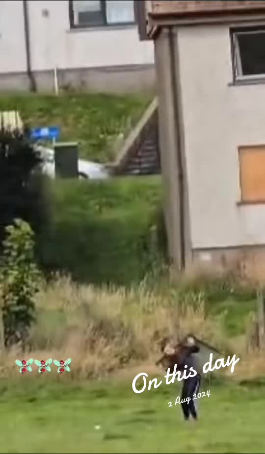 @thatgirllici