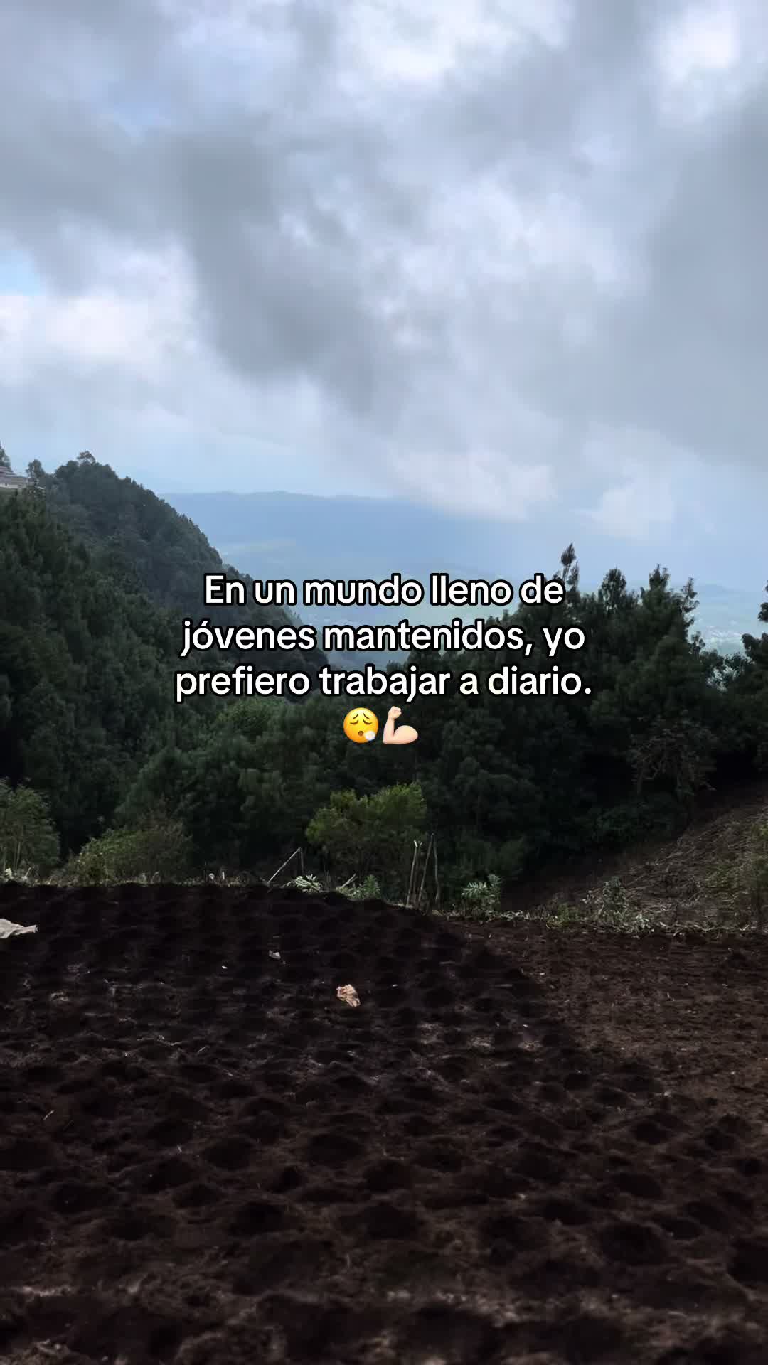@Henry 🫡🤠