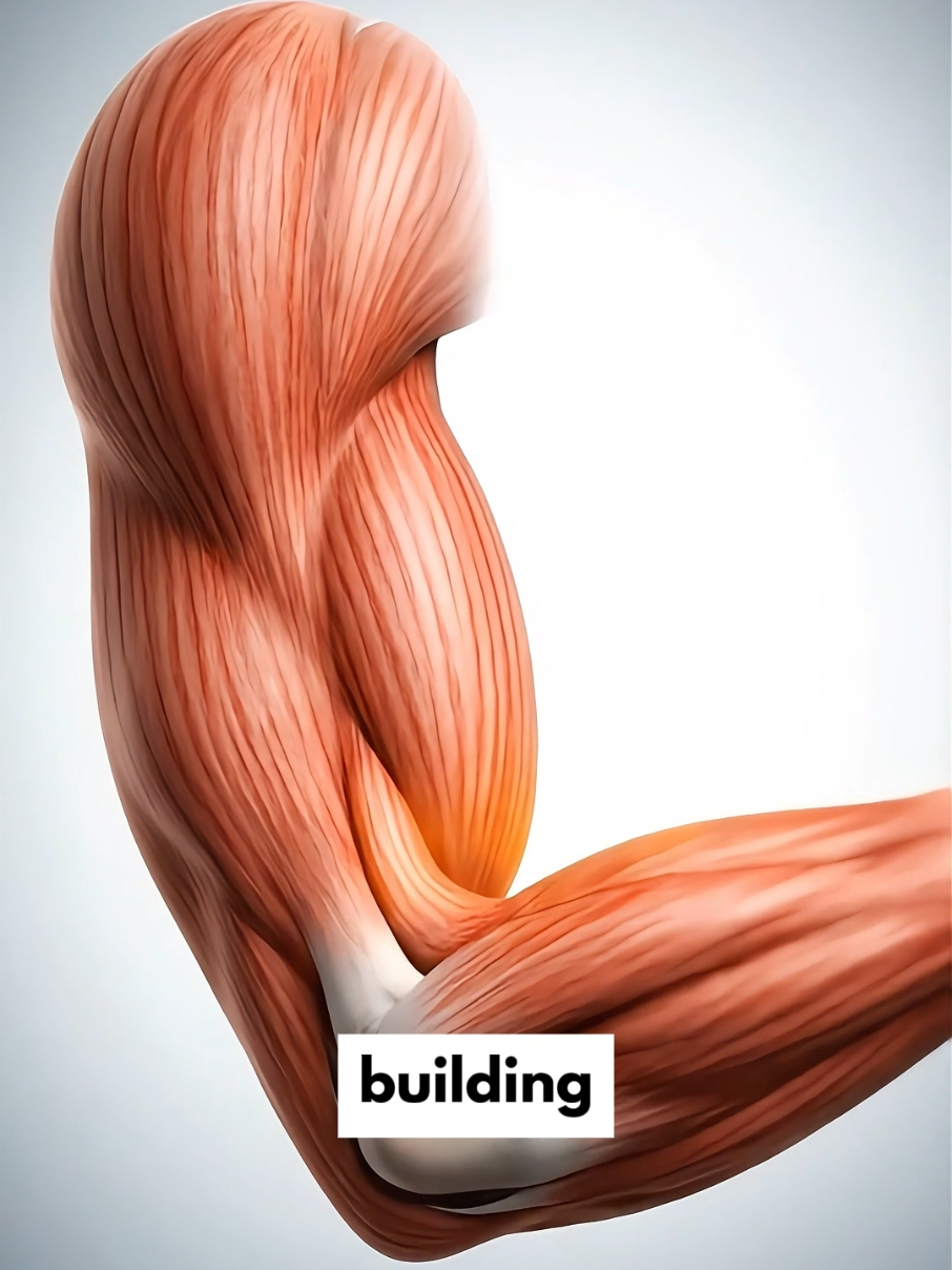 @Flexplained
