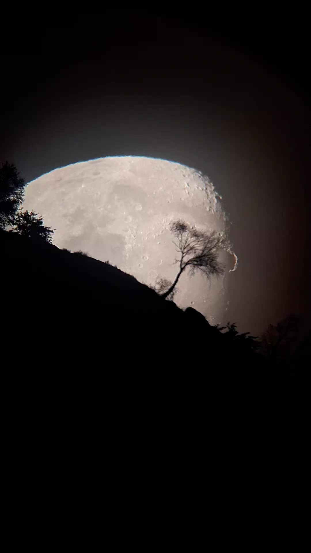 @Moonwatcher