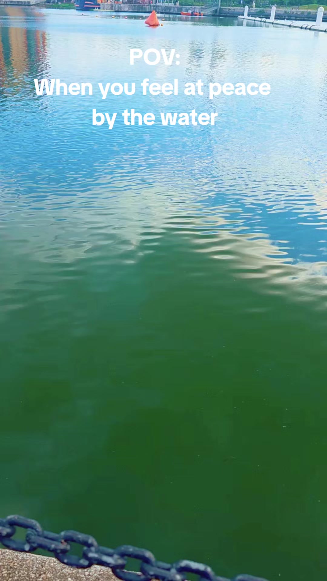 @𝓝𝓪𝔃🕊️