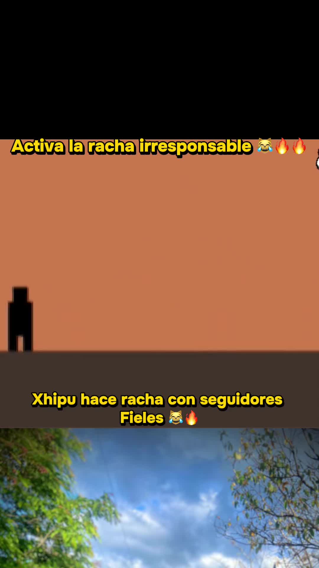 @xhipu2.0
