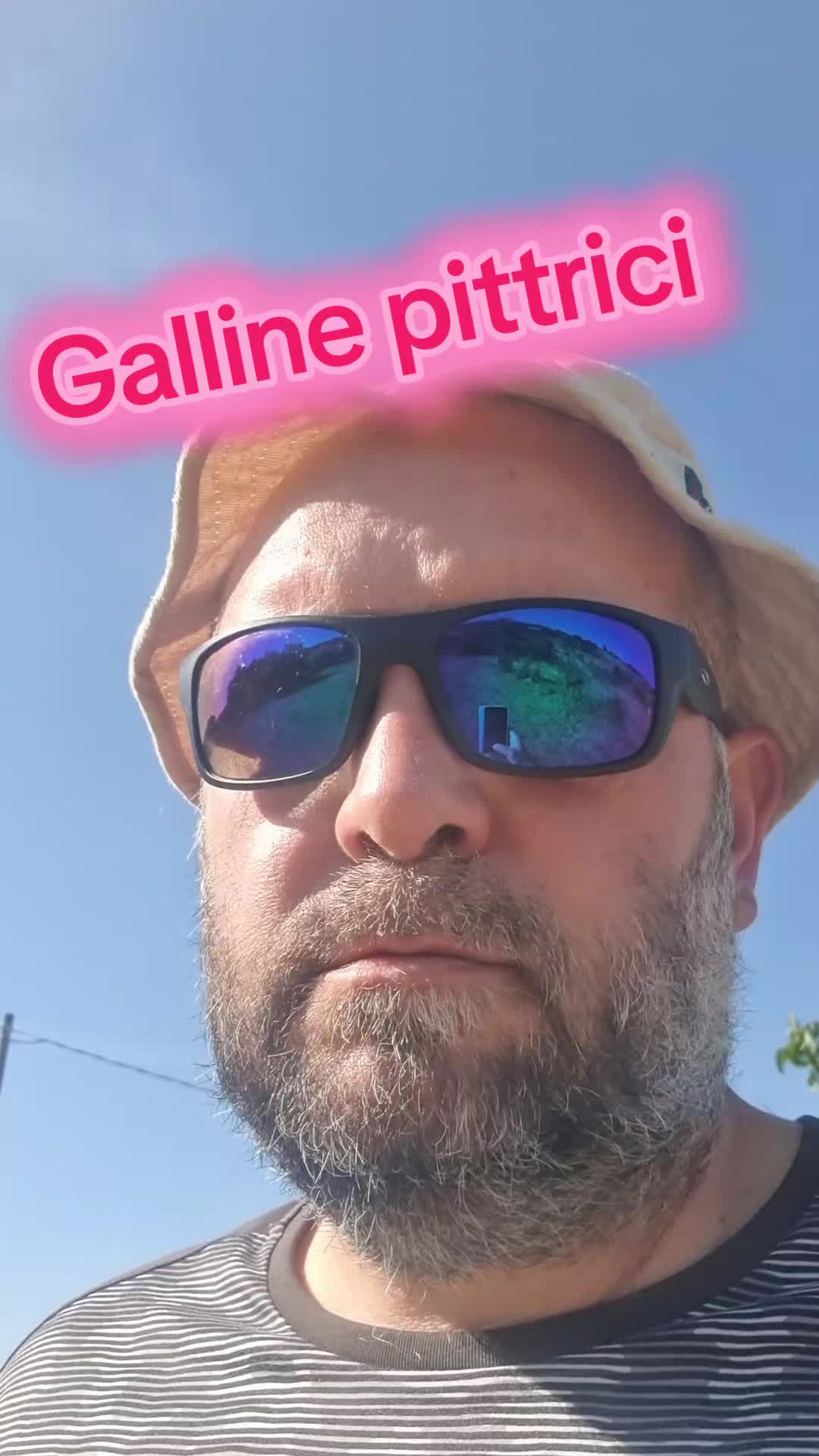 @Il leone e la gallina