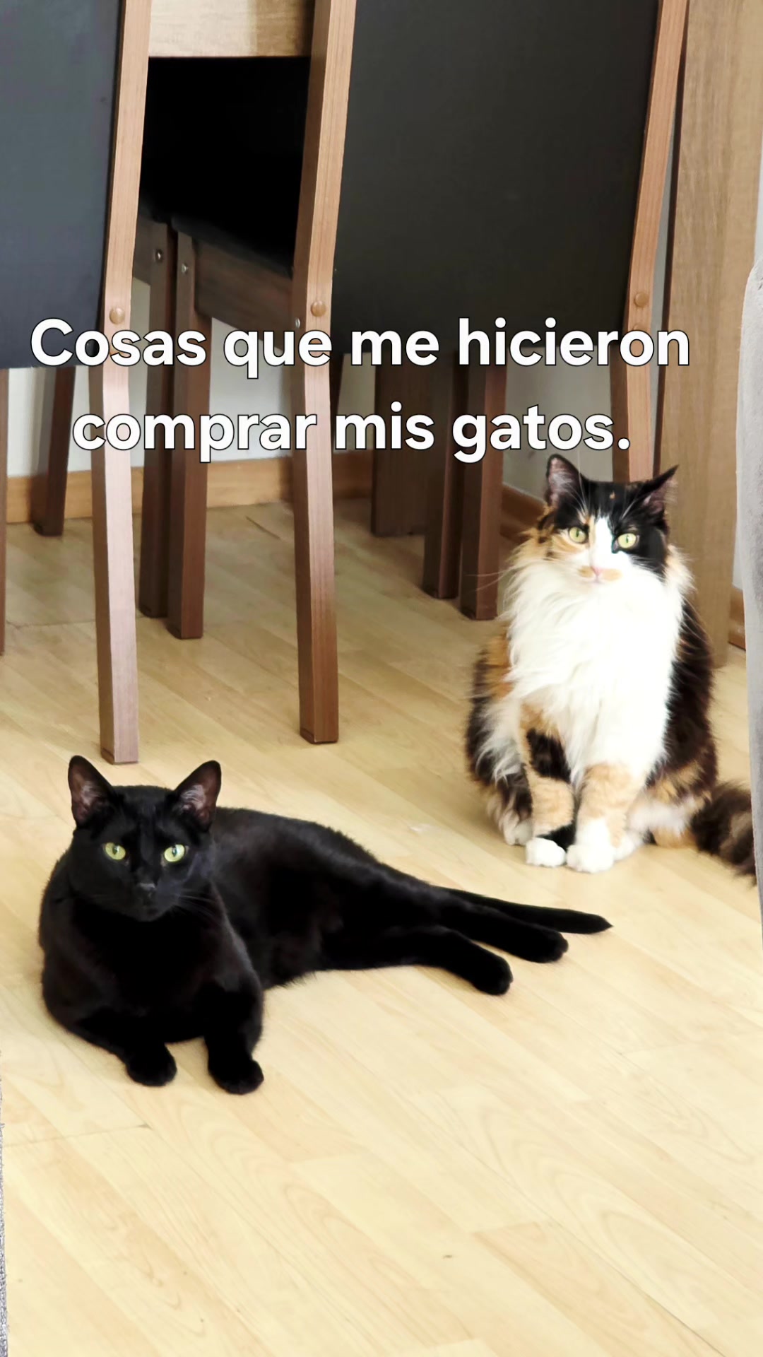 @Andrea Gamboa