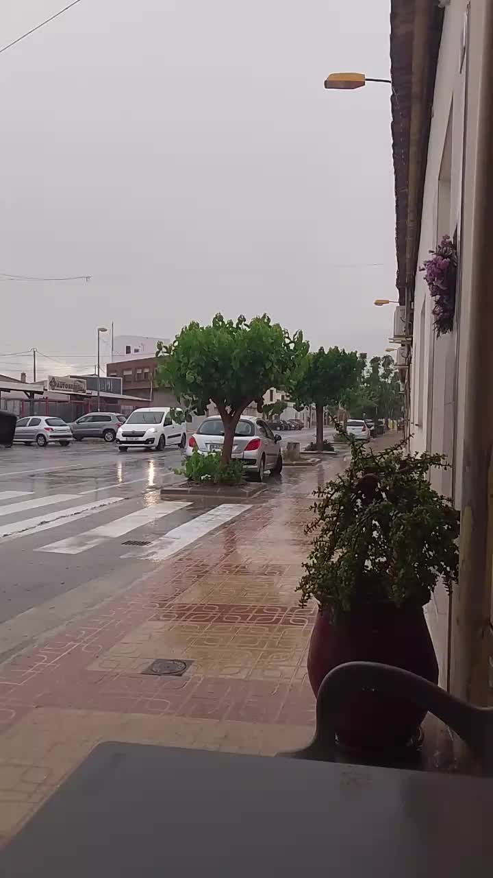 @تاوناتي في الغربة