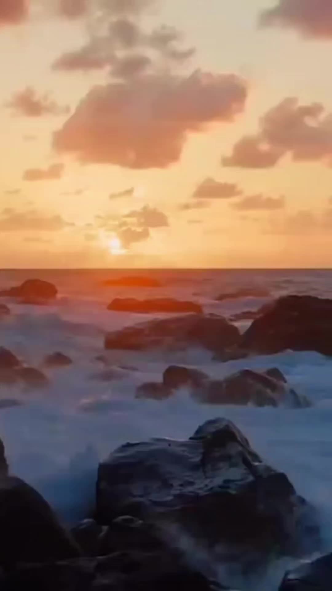 @Daynom🎼💥