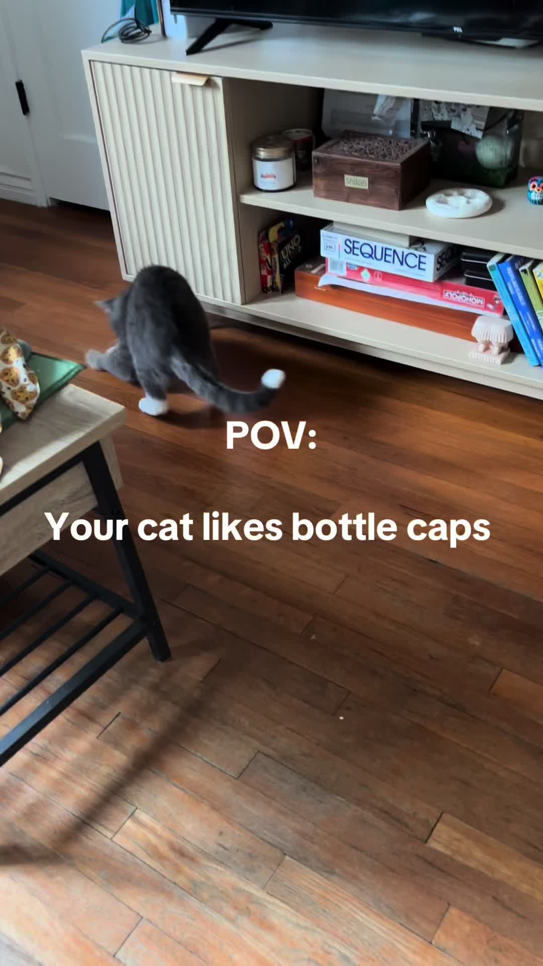 @Pet Mom Things