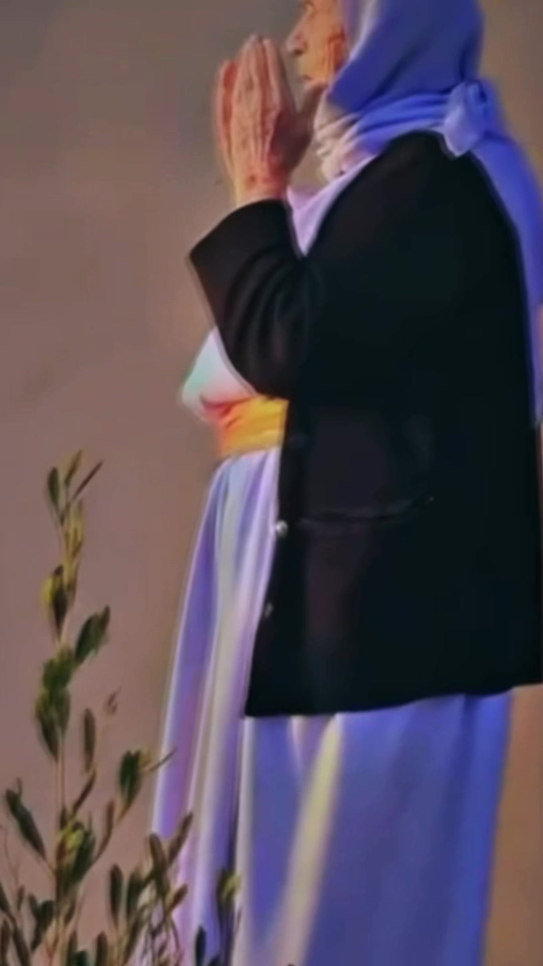 @mamo.bebani
