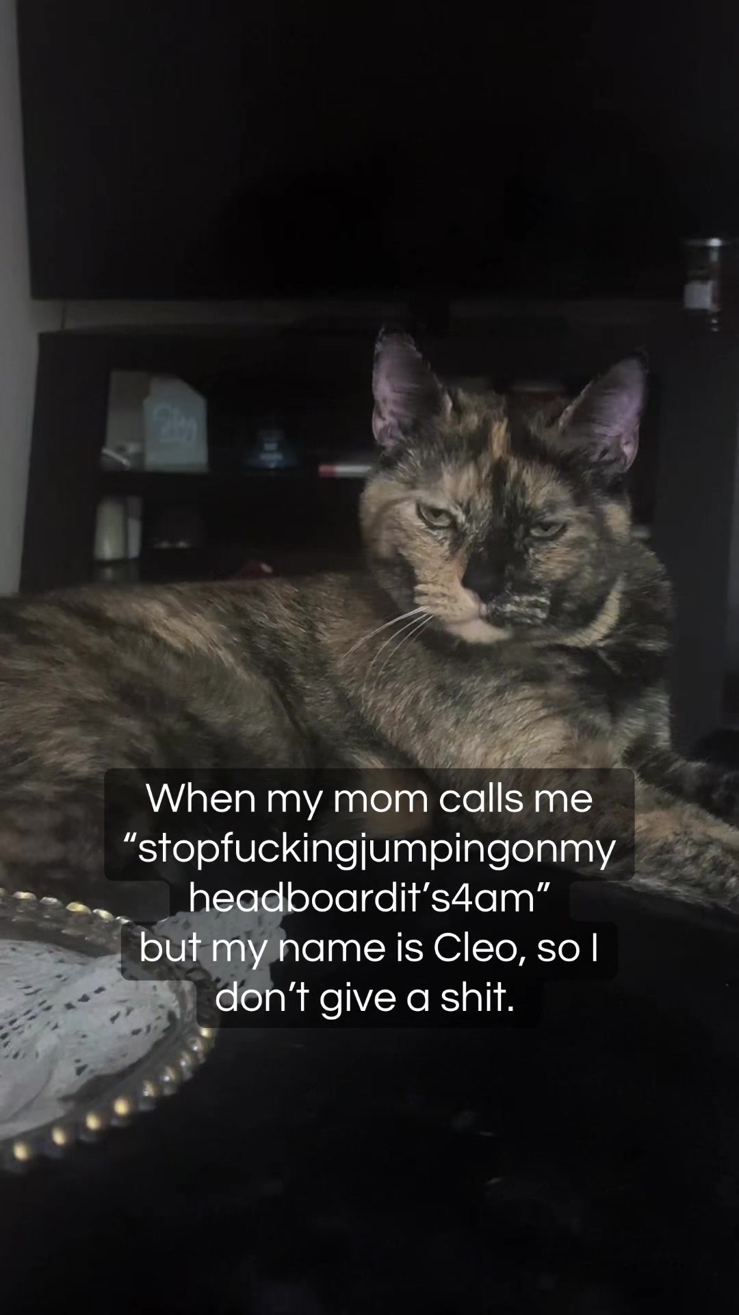 @ThatGingerGinny_✨