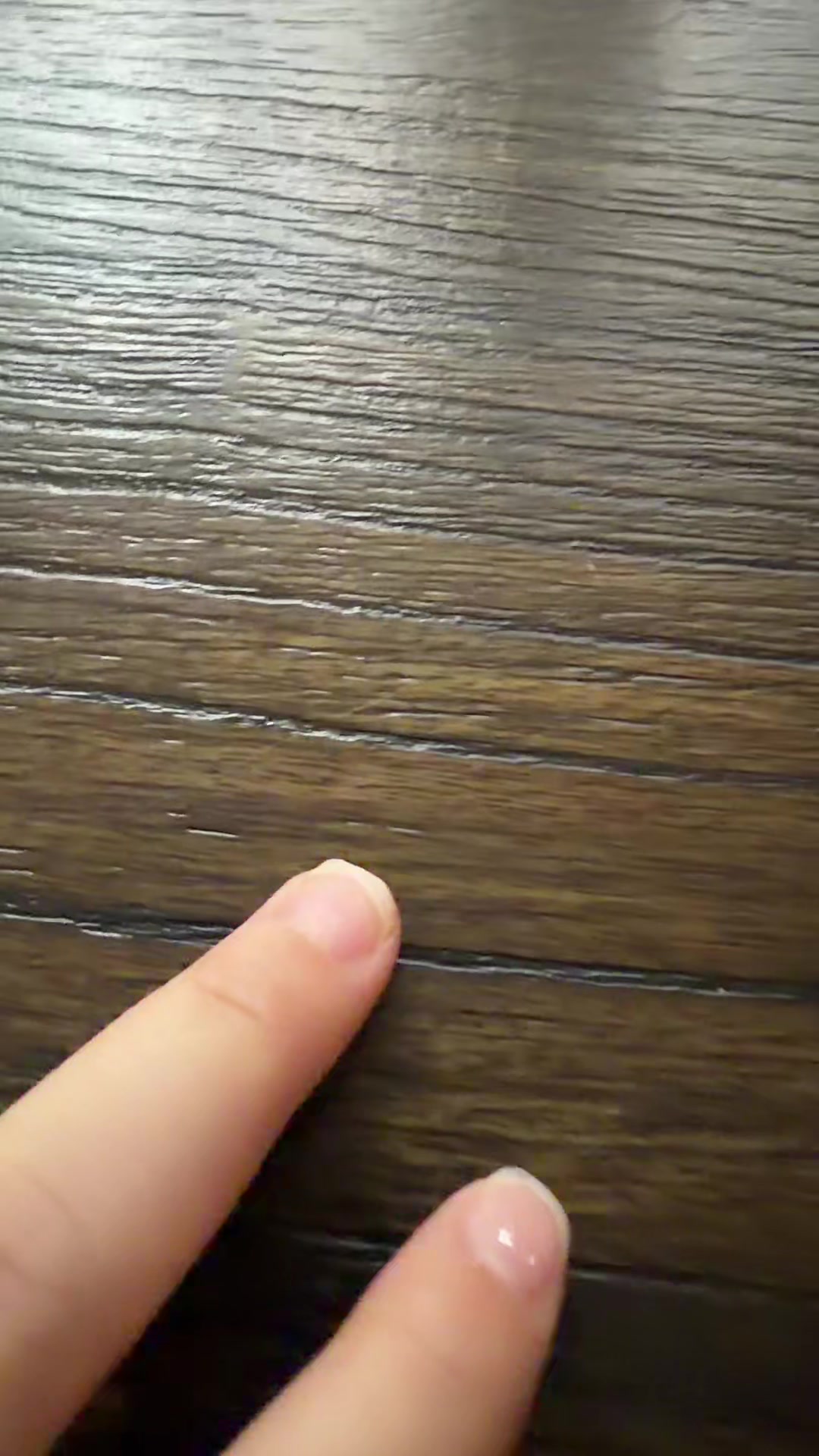 @۶ৎ⊹ ࣪ 𝐅𝐢𝐝𝐠𝐞𝐭𝐡𝐮𝐛⊹ ࣪ ۶ৎ