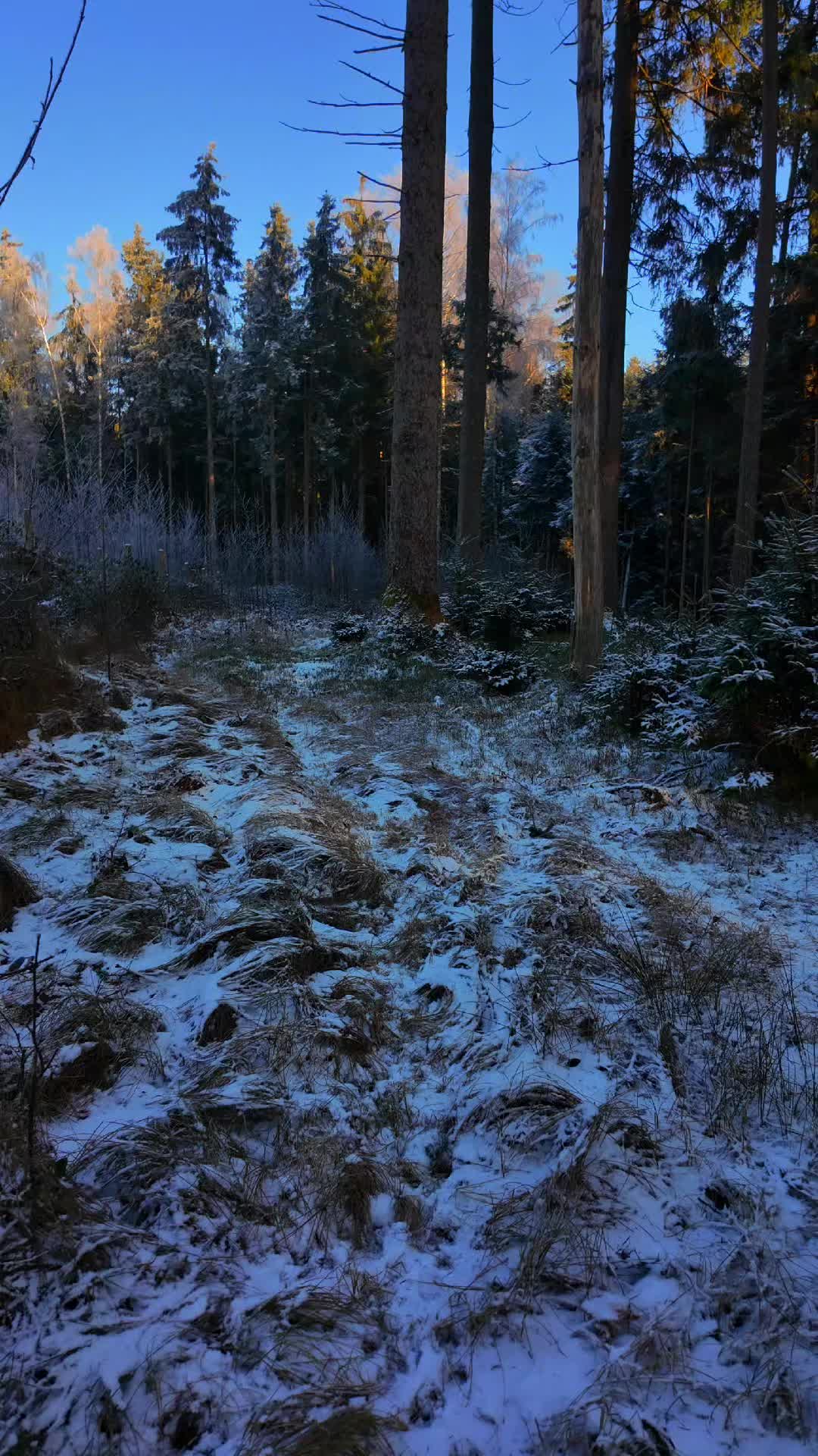 @outdoorwolf
