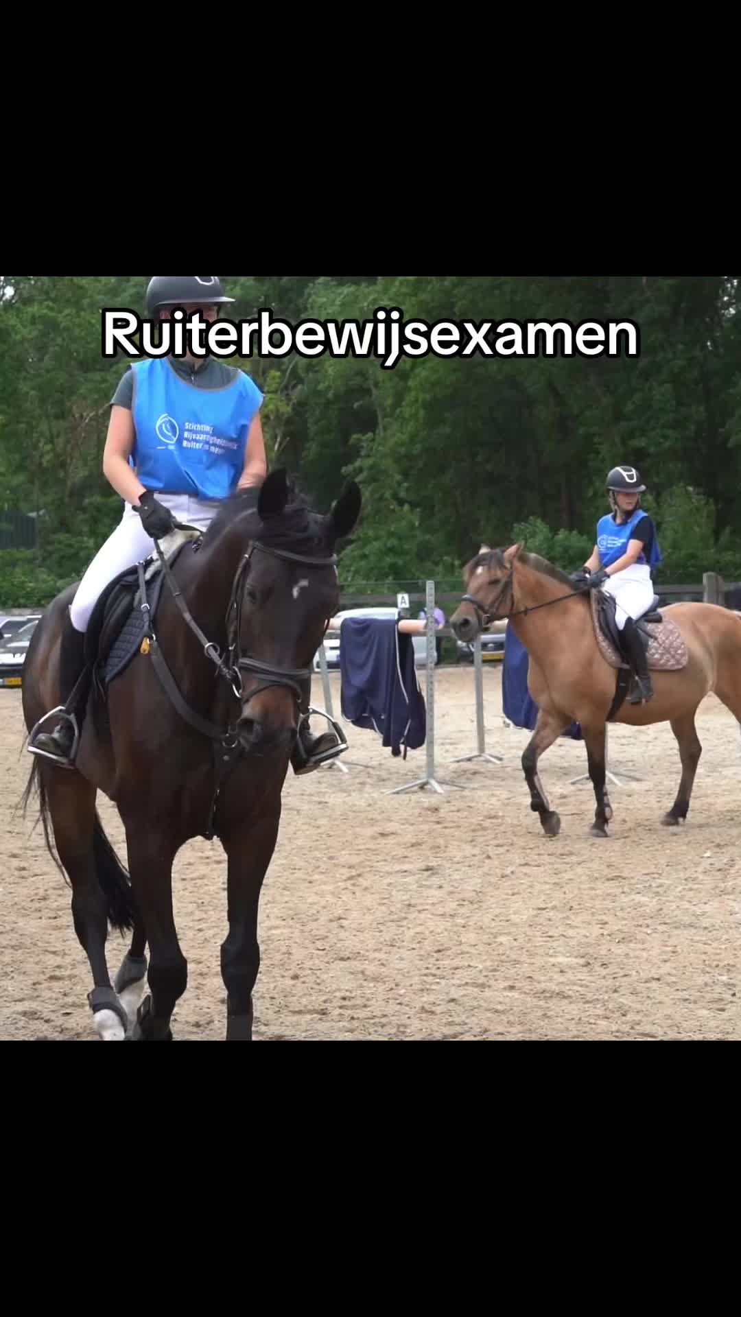 @Paardensport & -houderij Curio