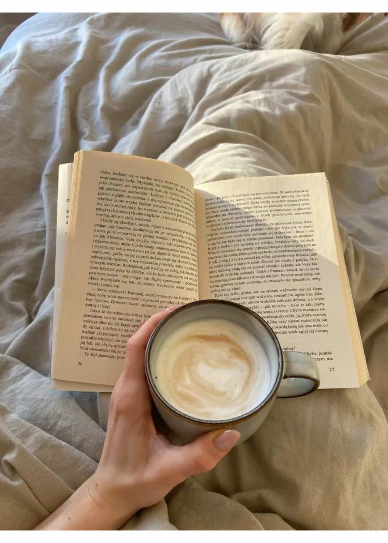 @luciashelff📖