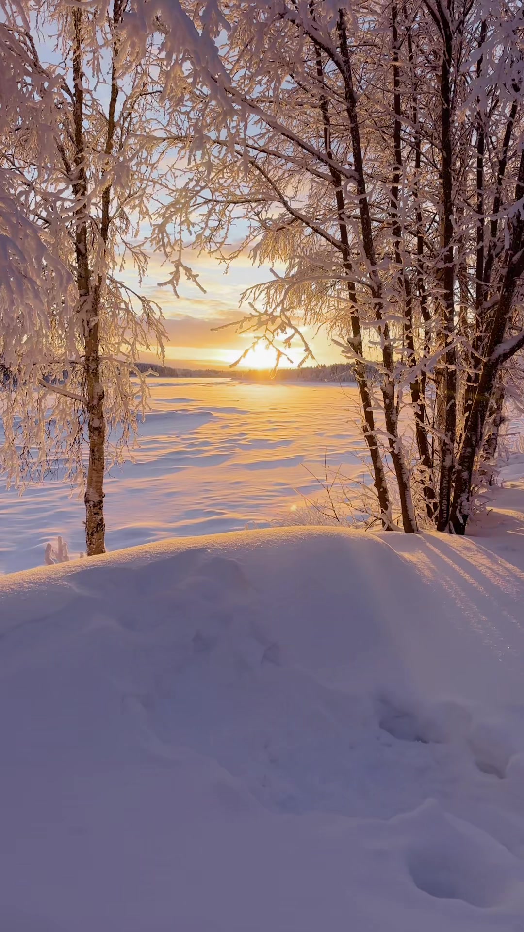 @Ioana G. Damiean